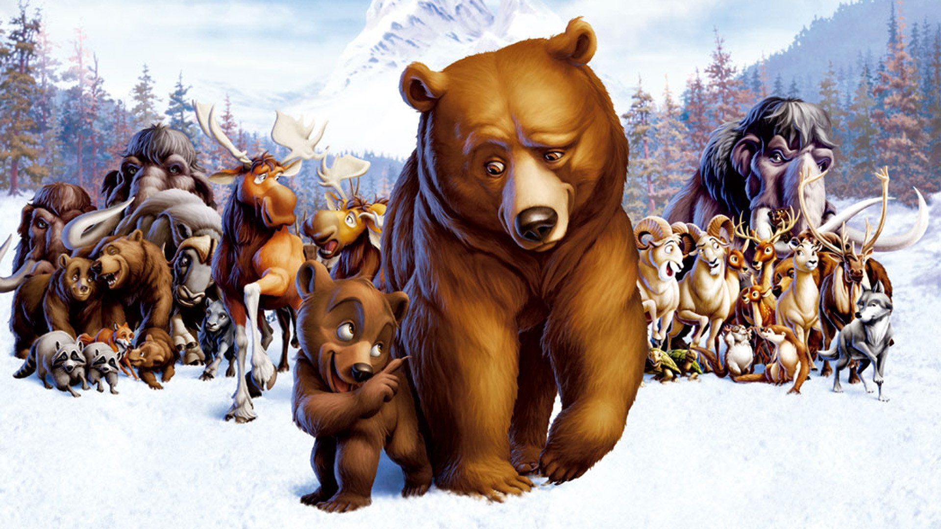 1080P, comedy, brother, disney, animation, adventure, family, 1brotherbear, bear, HD Wallpaper