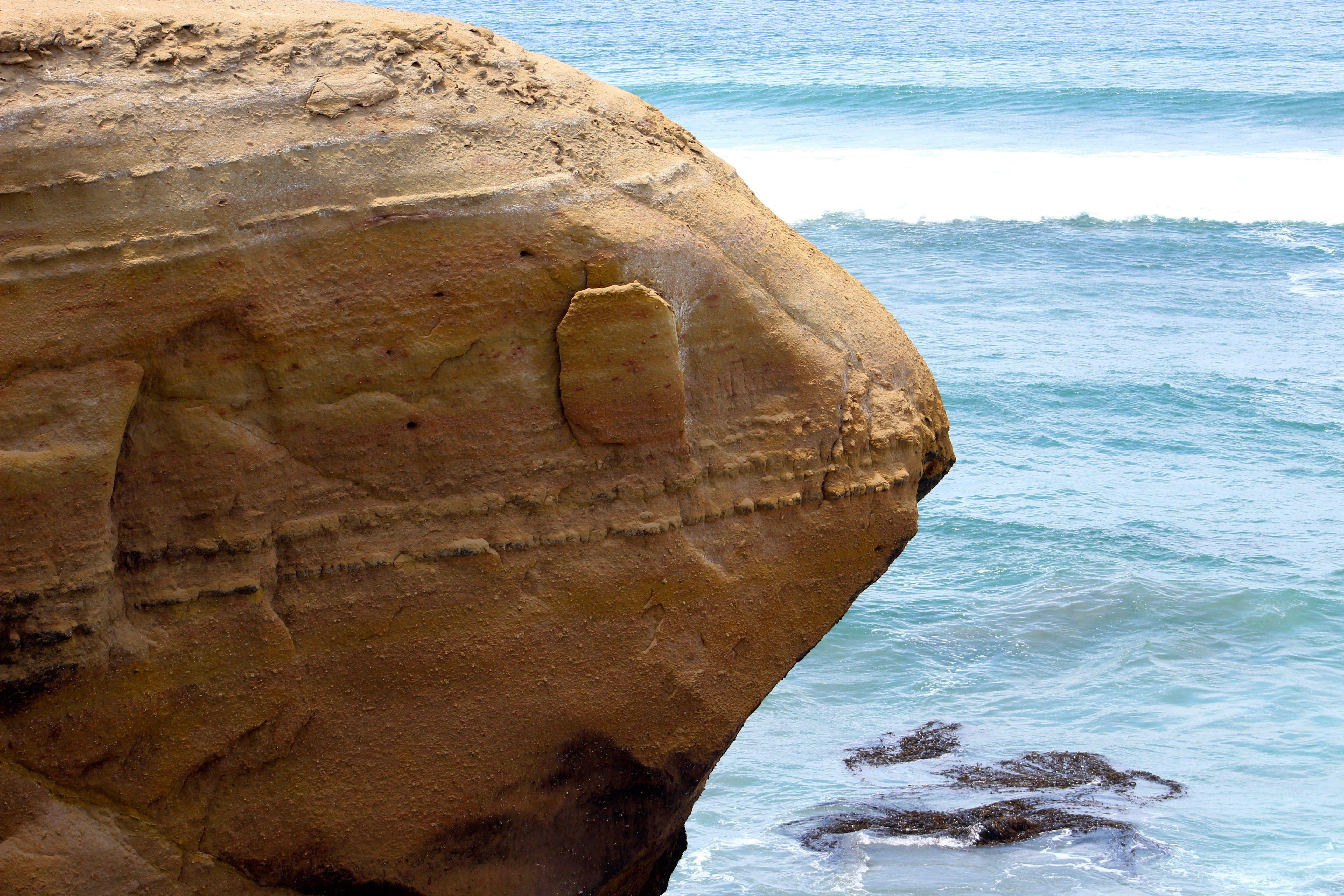 animal, scenics - nature, outdoors, nature, summer, beach, wave, travel destinations, rock, eroded, solid, sand, day, beauty in nature, no people, animal wildlife, HD Wallpaper