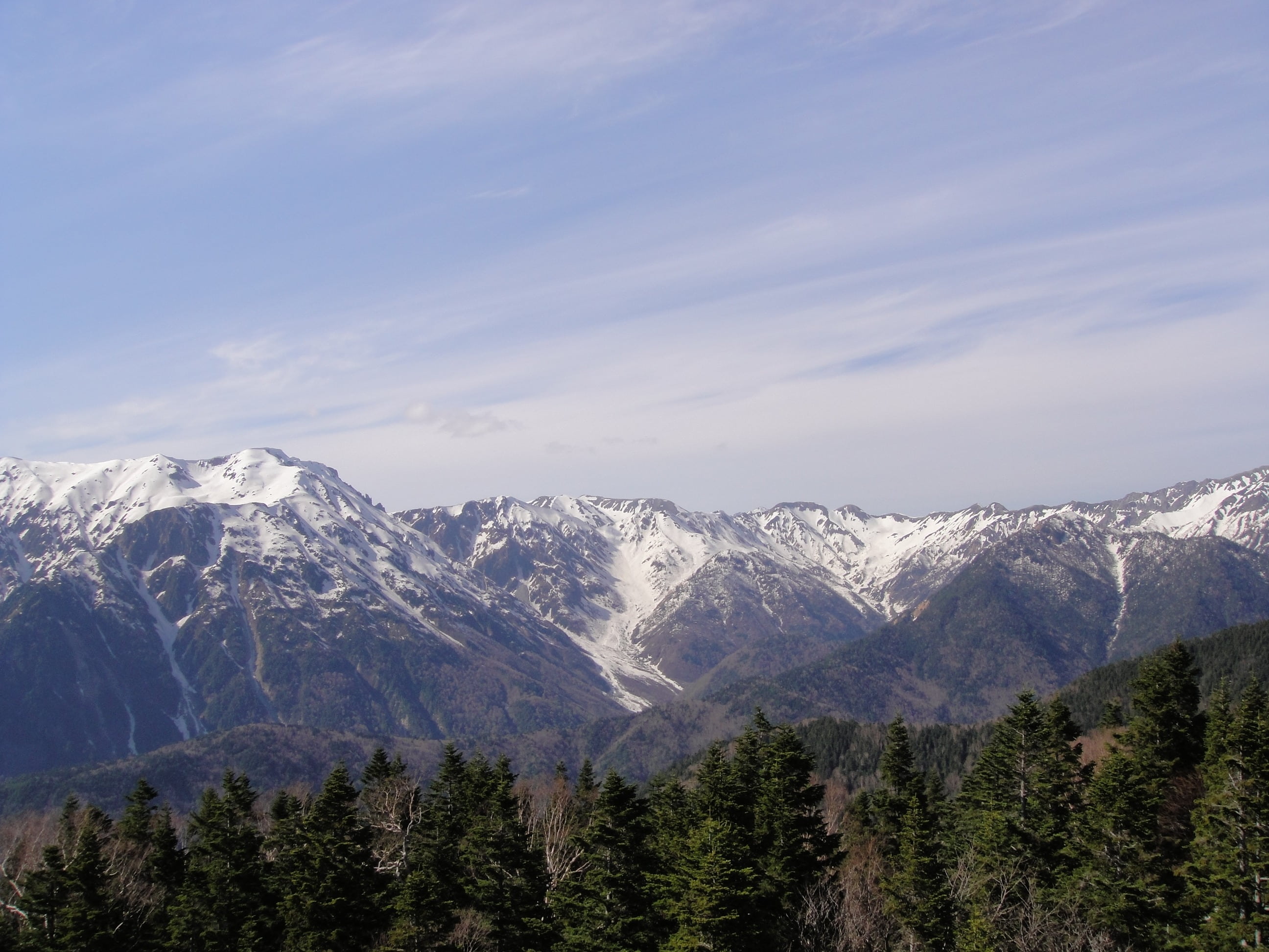 tree, scenics - nature, landscape, mountain peak, environment, pine tree, japan in seoul british columbia mountains, sky, mountain, forest, snow, non-urban scene, HD Wallpaper