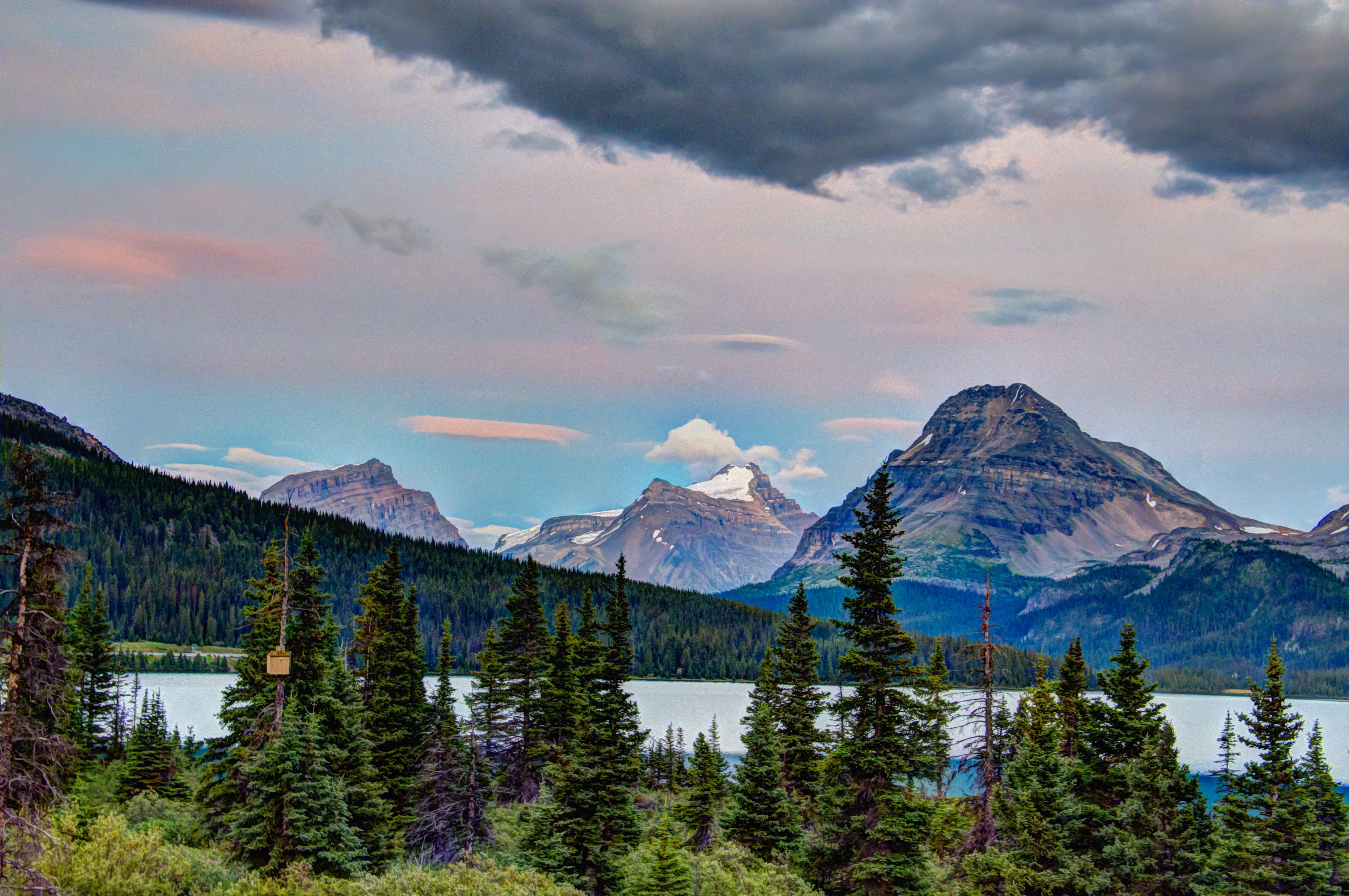 tranquil scene, pine, num-ti-jah, mountain, cloud - sky, pine tree, mountains, cold temperature, conifer, snowcapped mountain, plant, banff, across, tranquility, HD Wallpaper