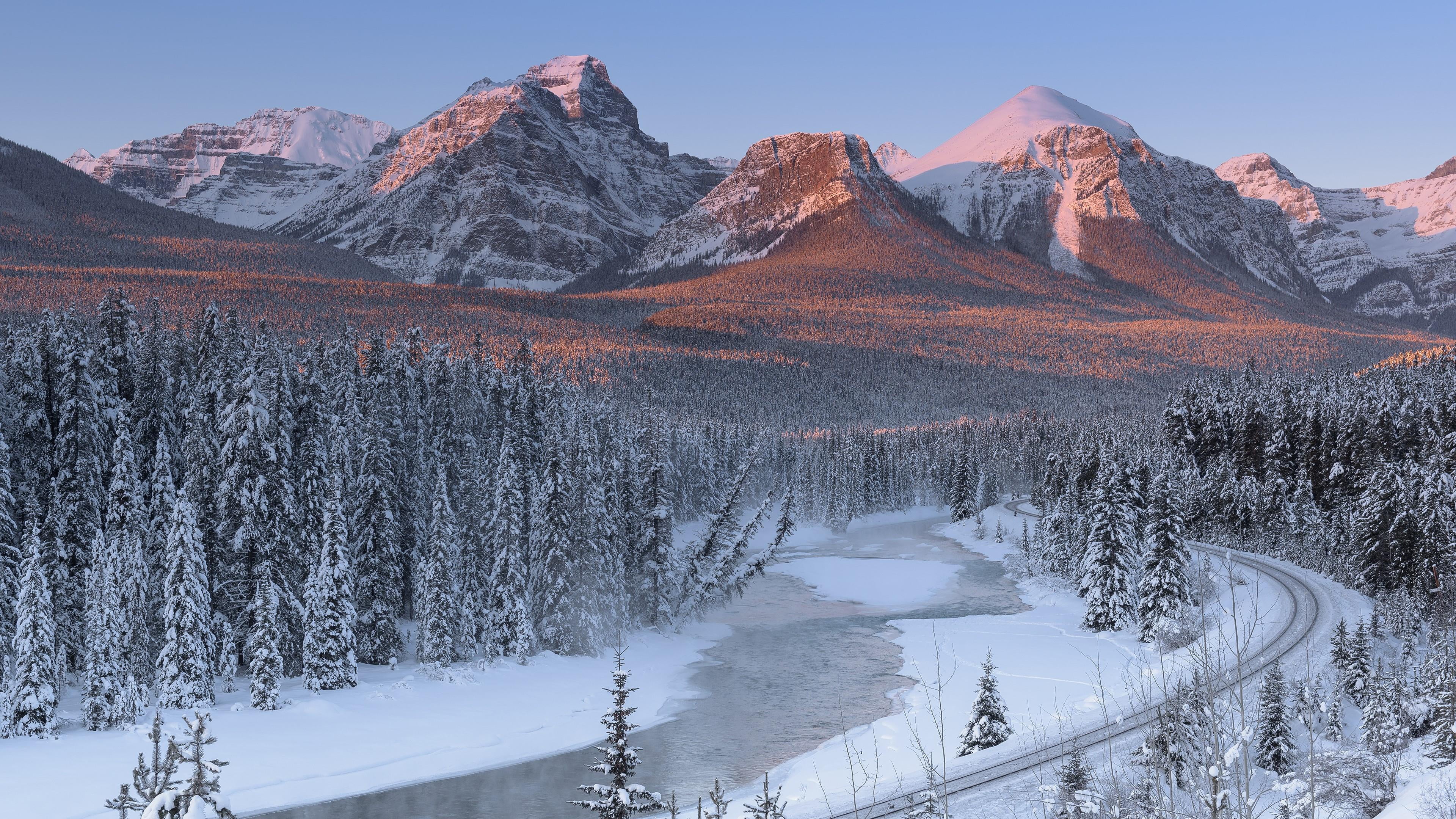 winter, mountain peak, blue, beauty in nature, scenics - nature, evergreen tree, alberta, cold temperature, canadian rockies, terrain, fir forest, alberta rocky mountains, HD Wallpaper