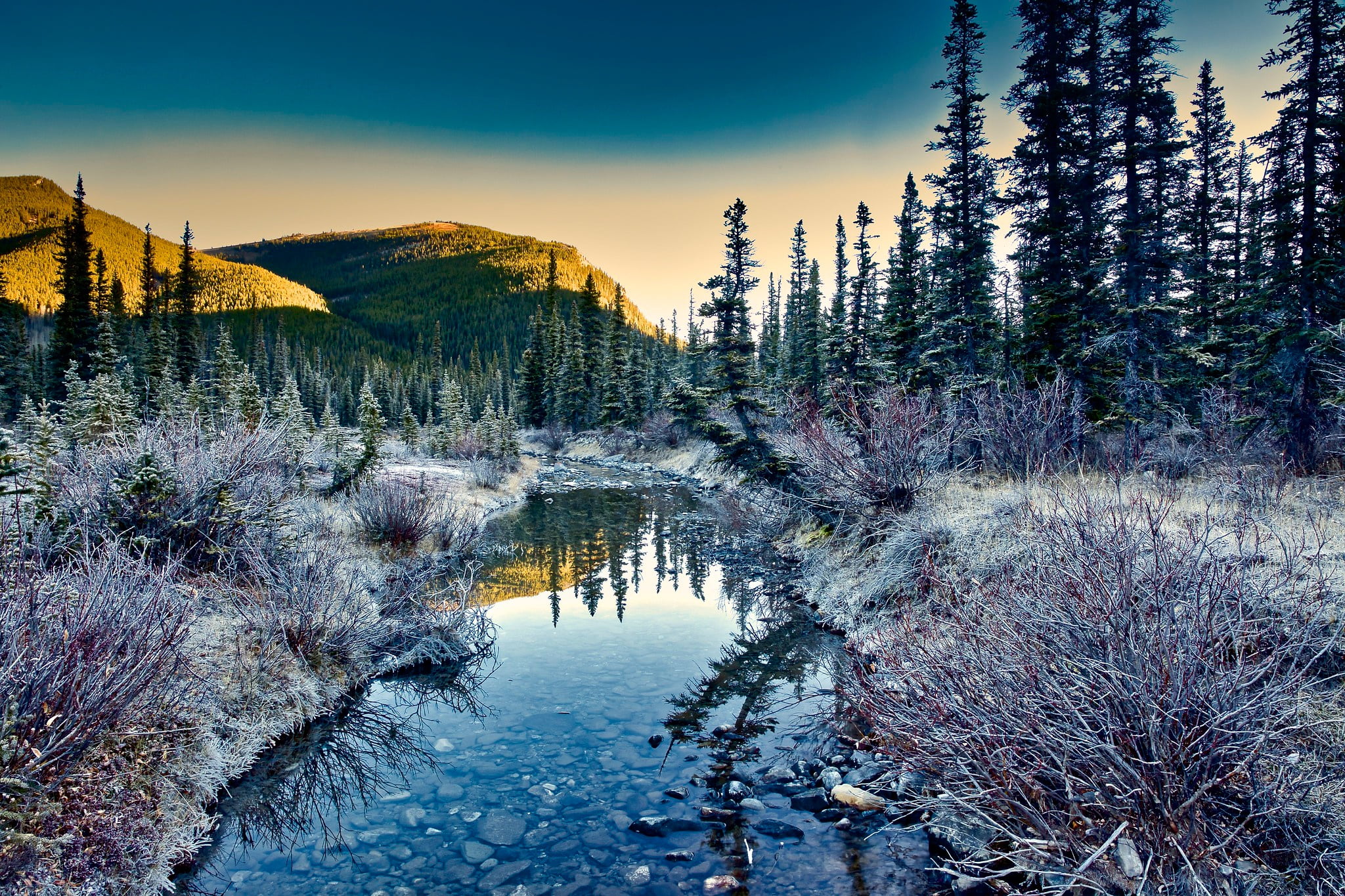 trees, frost, Canada, Kananaskis, the sky, stream, nature, mountains, 1080P, Albert, forest, the bushes, the sun, stones, HD Wallpaper