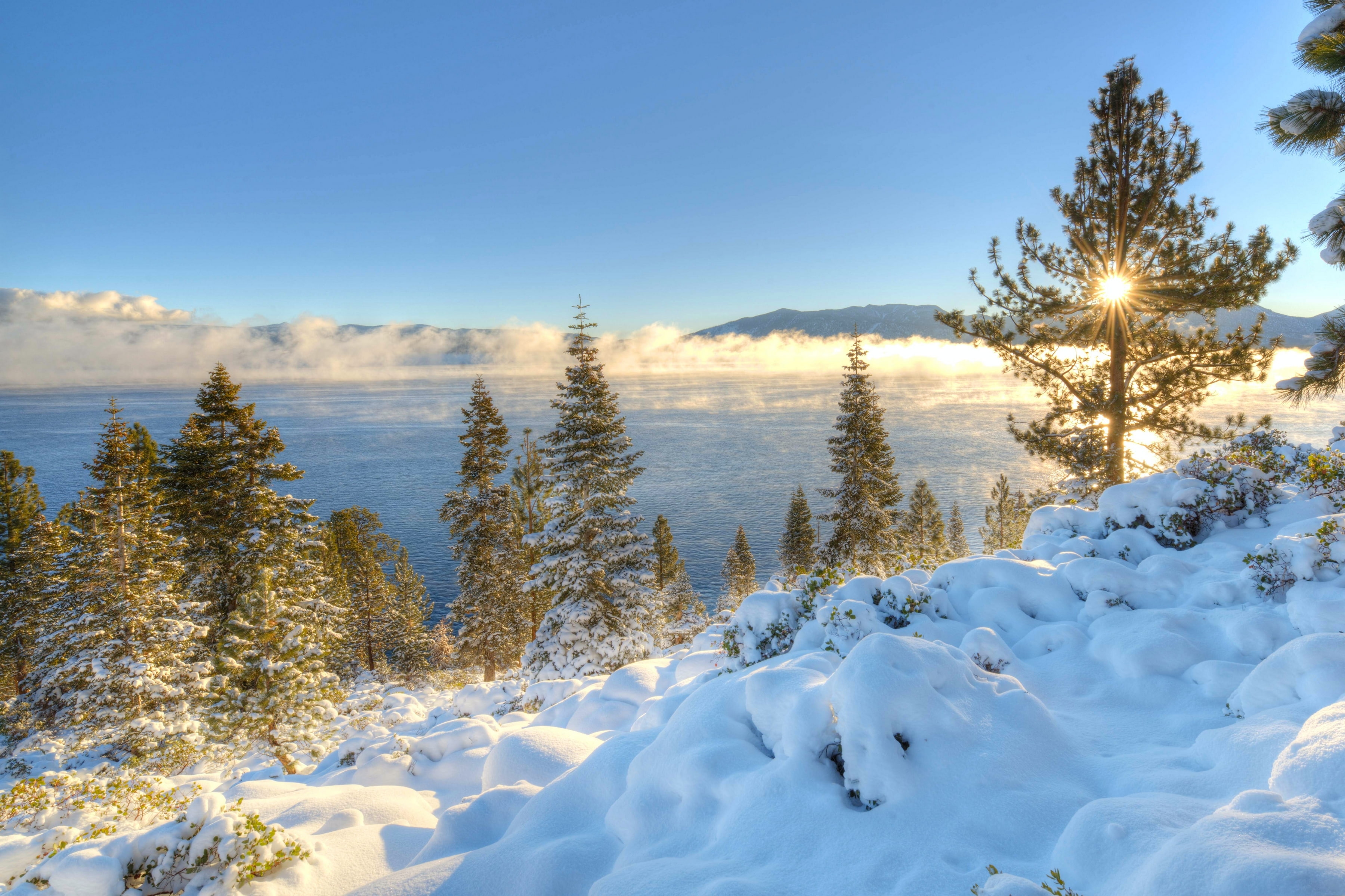 dawn, tranquility, plant, coniferous tree, CA, Sierra Nevada, covering, lake, scenics - nature, mountains, 2K, winter, brown, environment, Lake Tahoe, HD Wallpaper