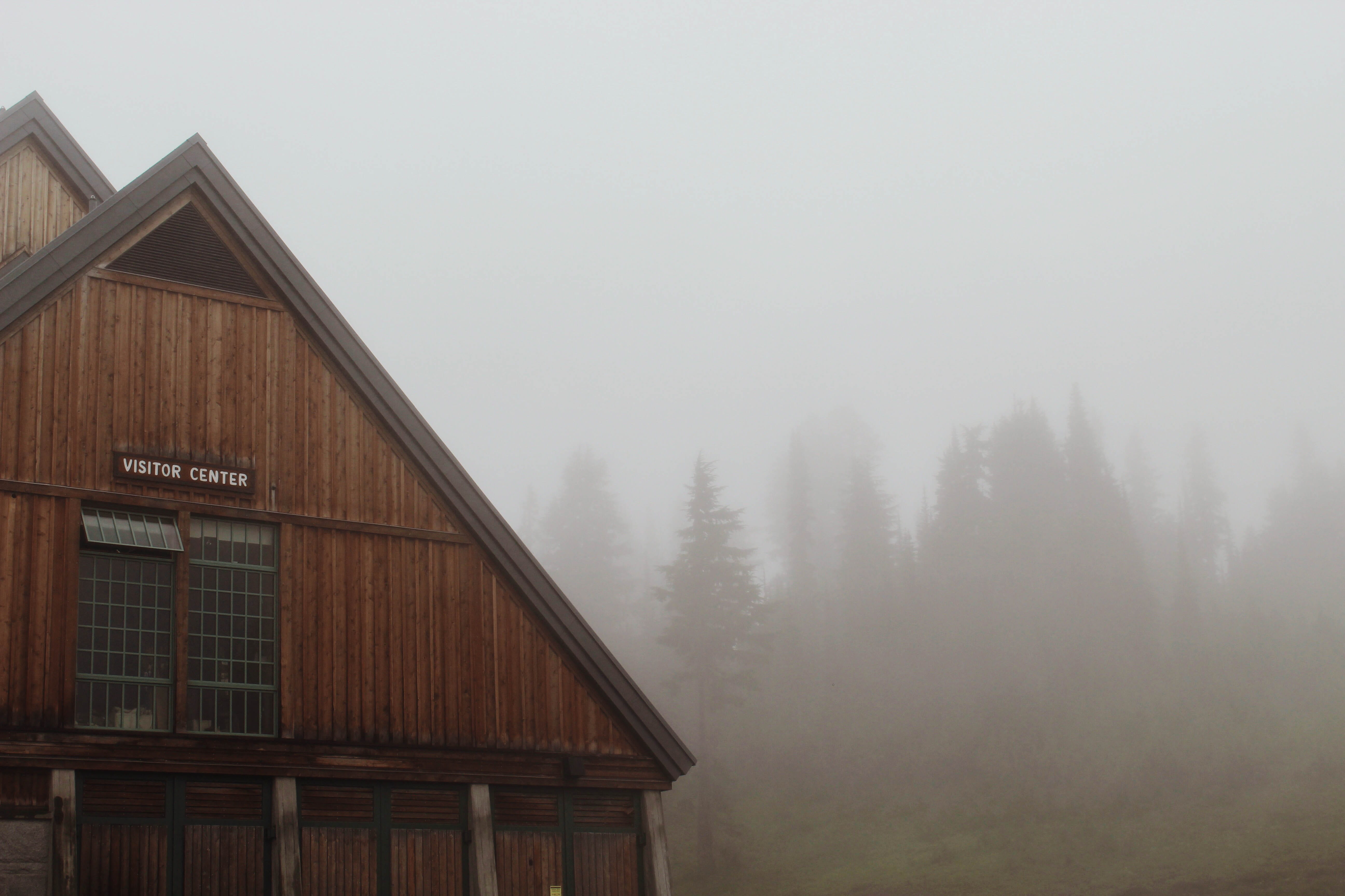 environment, built structure, house, mt. rainier, nature, hike, outdoors, united states, tree, 5K, architecture, tranquility, cold temperature, day, building, HD Wallpaper