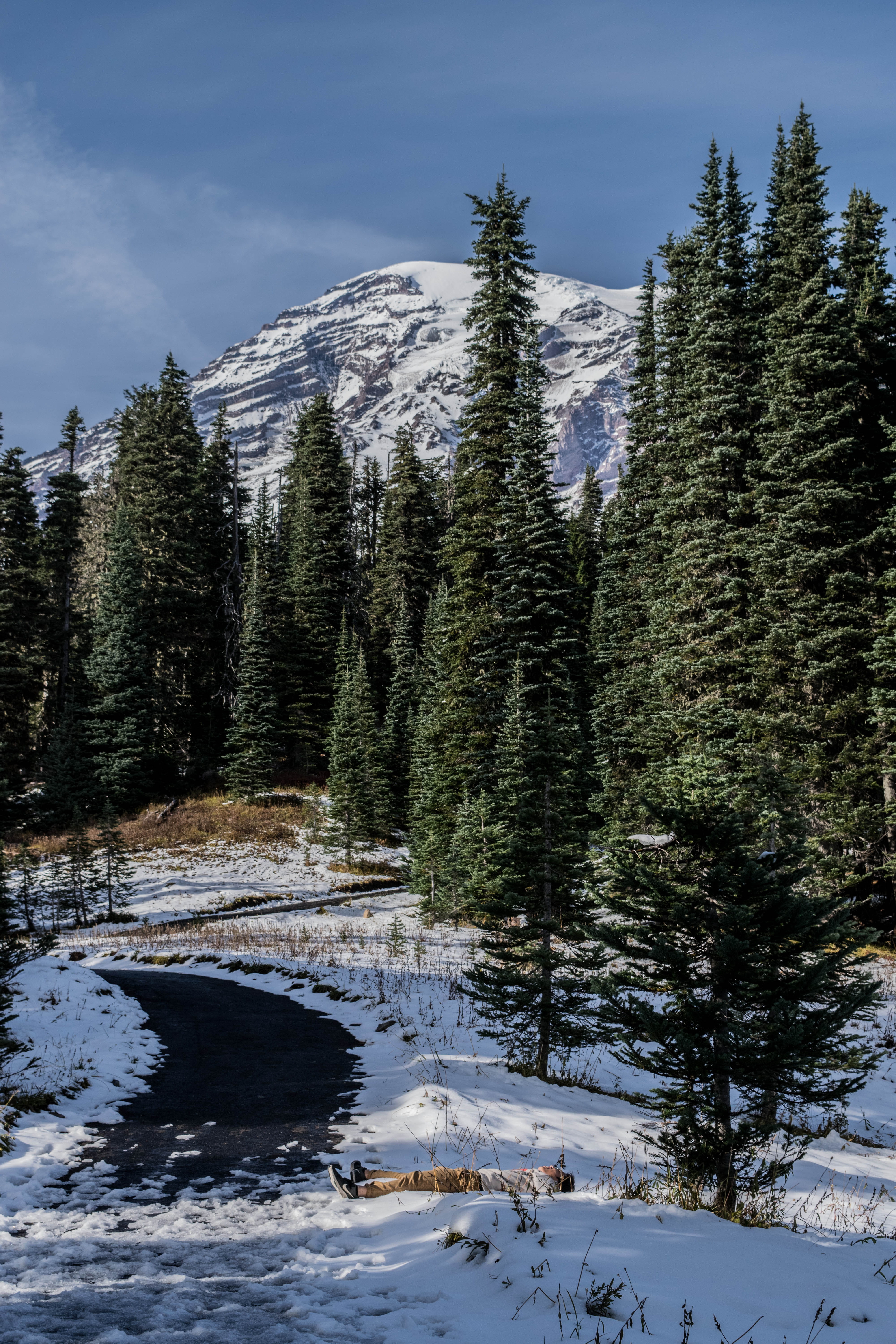 5K, mountain, united states, pnw, pnwonderland, beauty in nature, covering, growth, winter, exploretocreate, seattlepulse, snow, outdoors, nature, trees, Phone HD Wallpaper