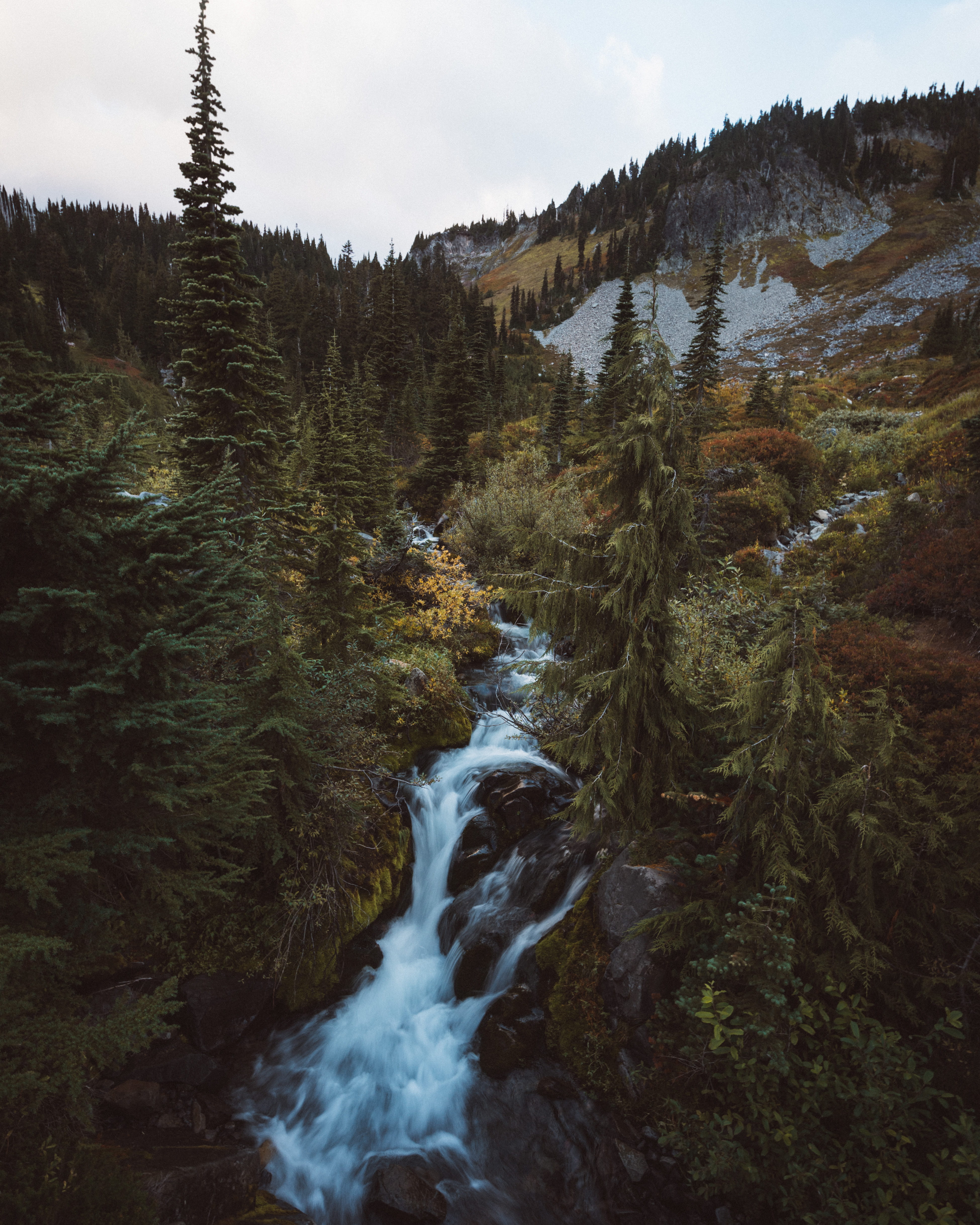 rainier, nature, landscape, travel, mt rainier, mountain, beauty in nature, scenics - nature, flowing, tranquil scene, landscapes, national park, hiking, Phone HD Wallpaper