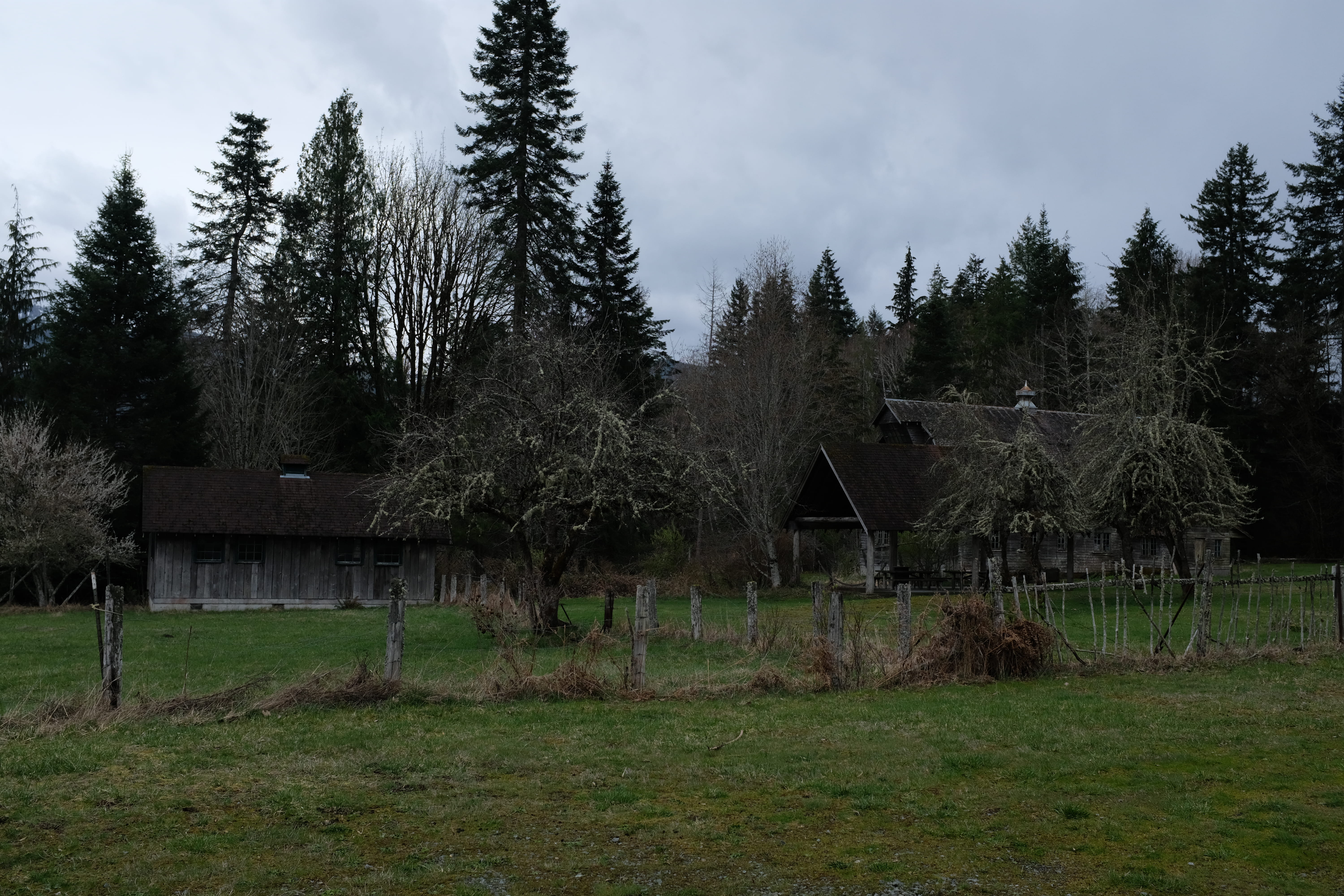 ashford, cottage, shelter, hut, abies, conifer, nature, fir, washington, landscape, tranquility, built structure, day, sky, plant, green color, building exterior, HD Wallpaper