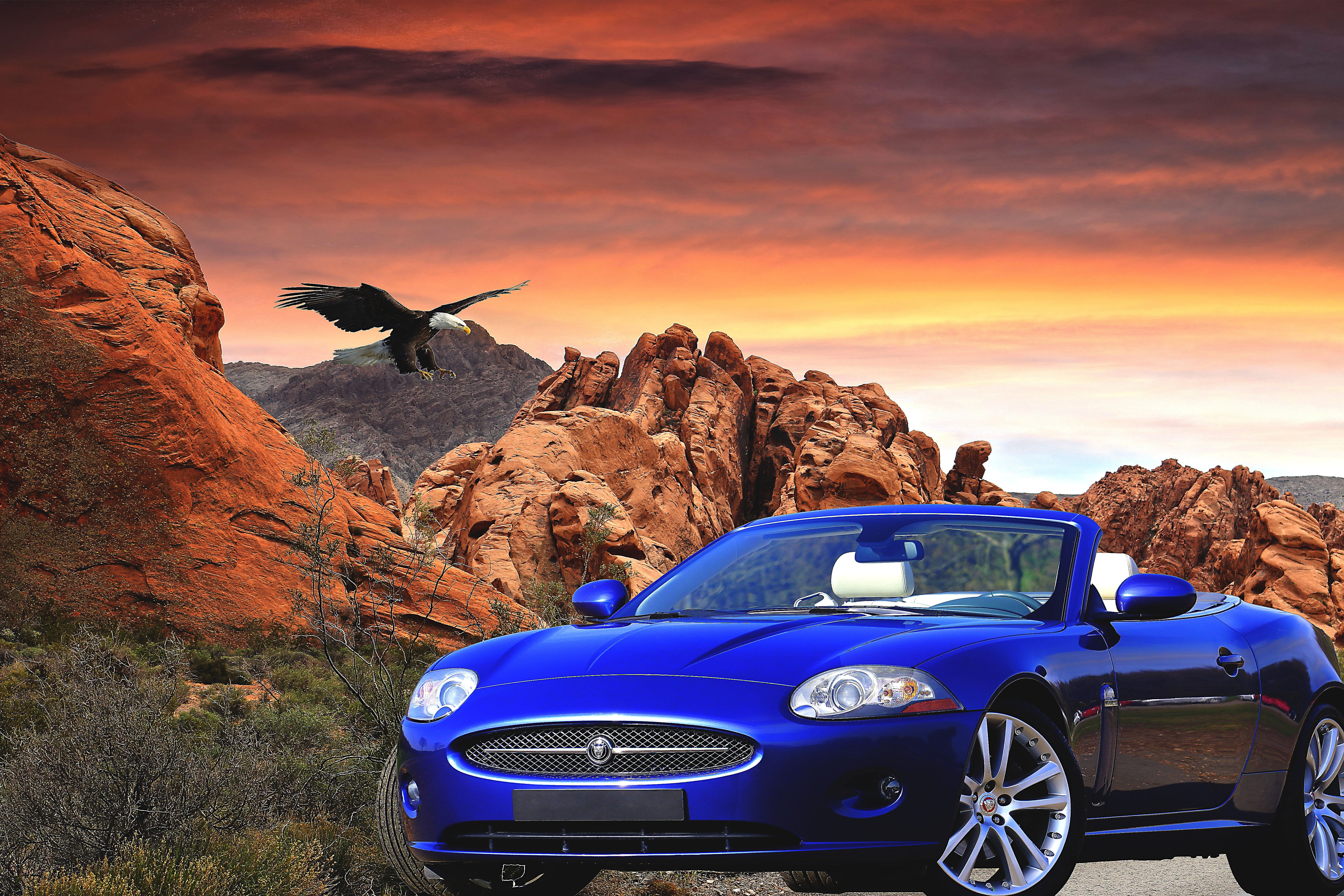 decoration, convertible, rock, transportation, life, bird, mood, rock formation, no people, motor vehicle, rest, animal, mode of transportation, space, HD Wallpaper