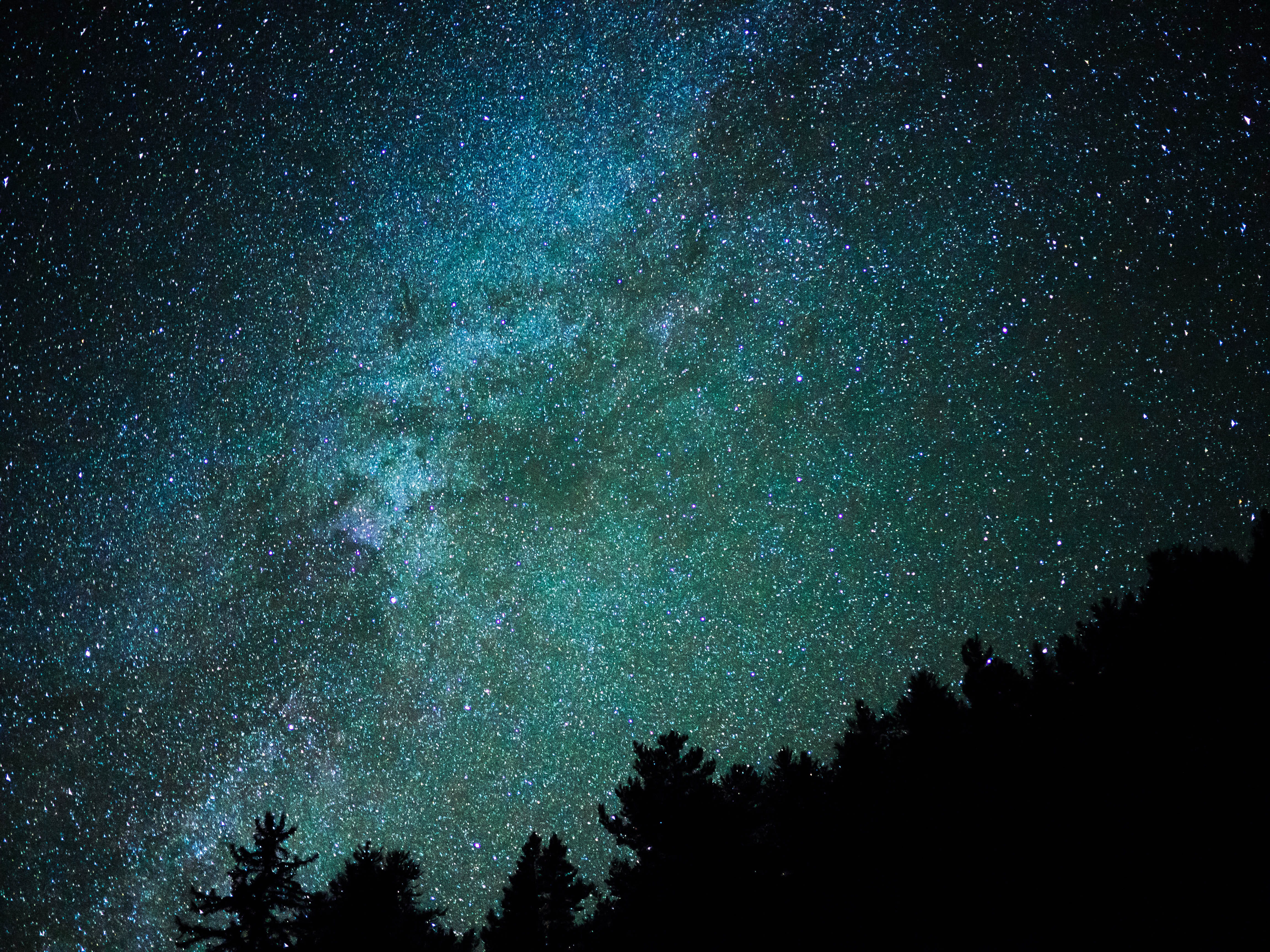 plant, tranquil scene, nature, hints, space, low angle view, night, milky way, lit, silhouette, idyllic, sky, tree, stars, astronomy, brightly, blue, scenics - nature, HD Wallpaper