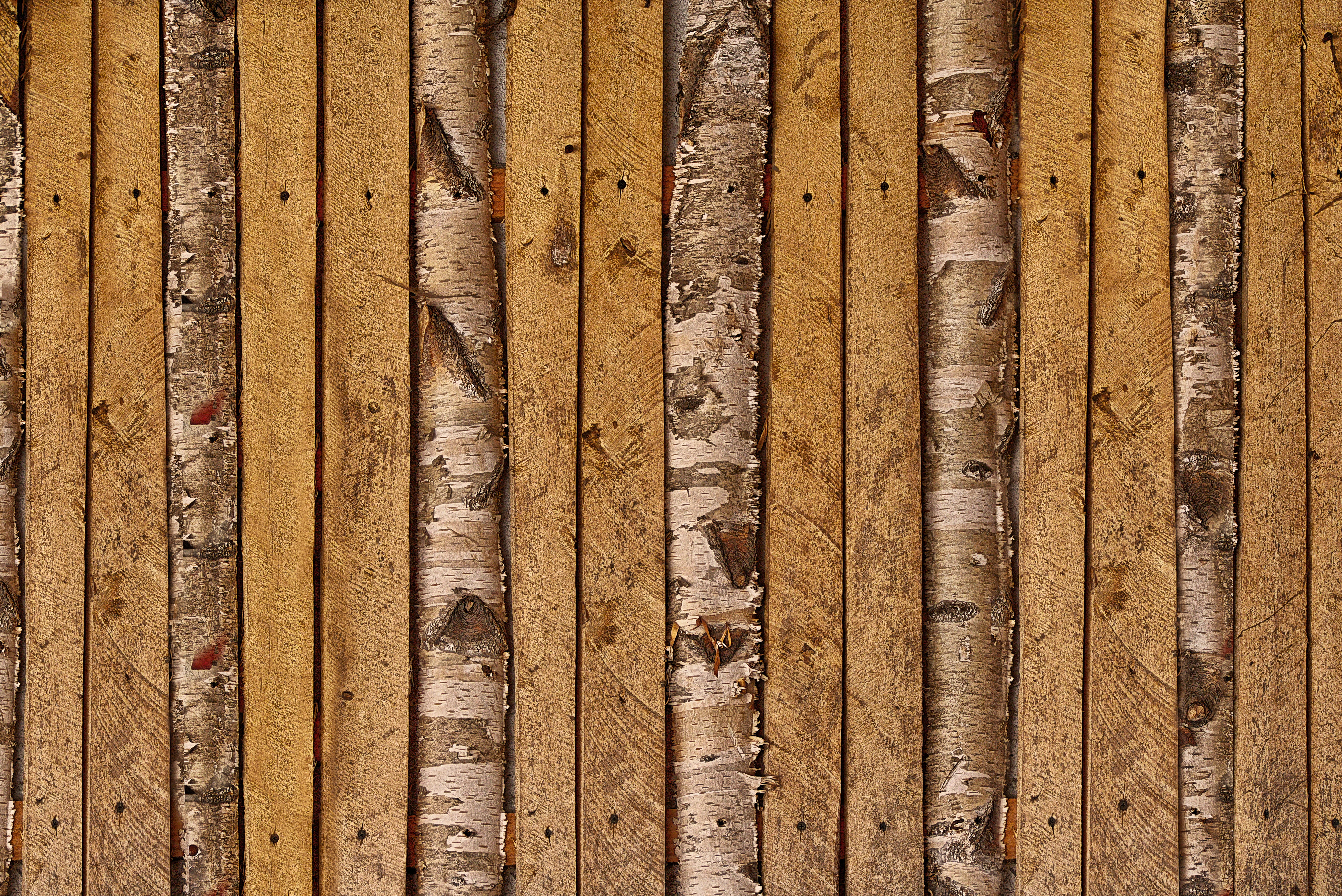 texture, grunge, detail, no people, grain, brown, in a row, birch, 5K, textile, indoors, textured, side by side, pattern, backgrounds, wood texture, background wood, HD Wallpaper