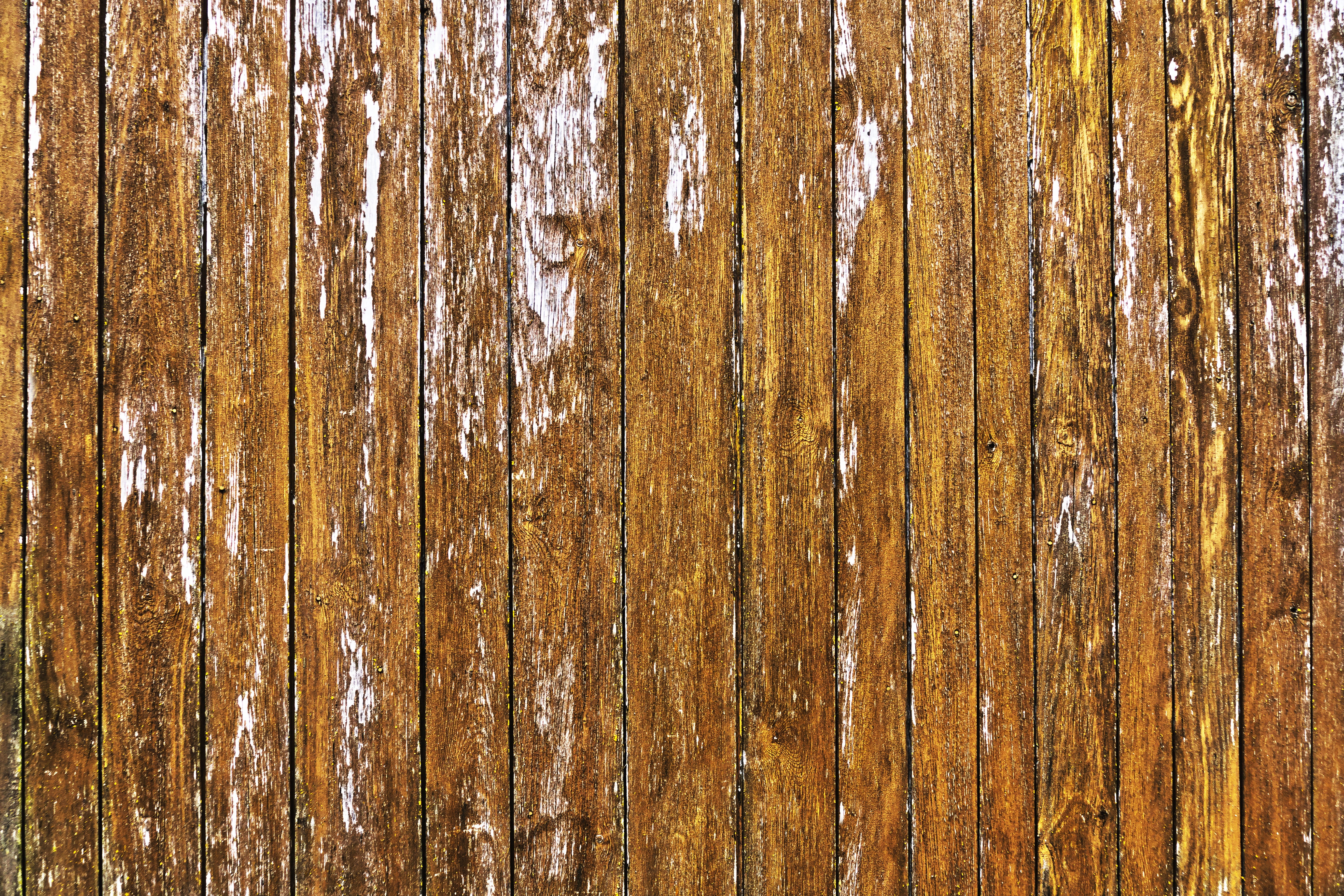 branches, grunge, close-up, full frame, panel, material, wood grain, structure, boards, damaged, grain, background wood, plank, day, textured effect, trunk, HD Wallpaper