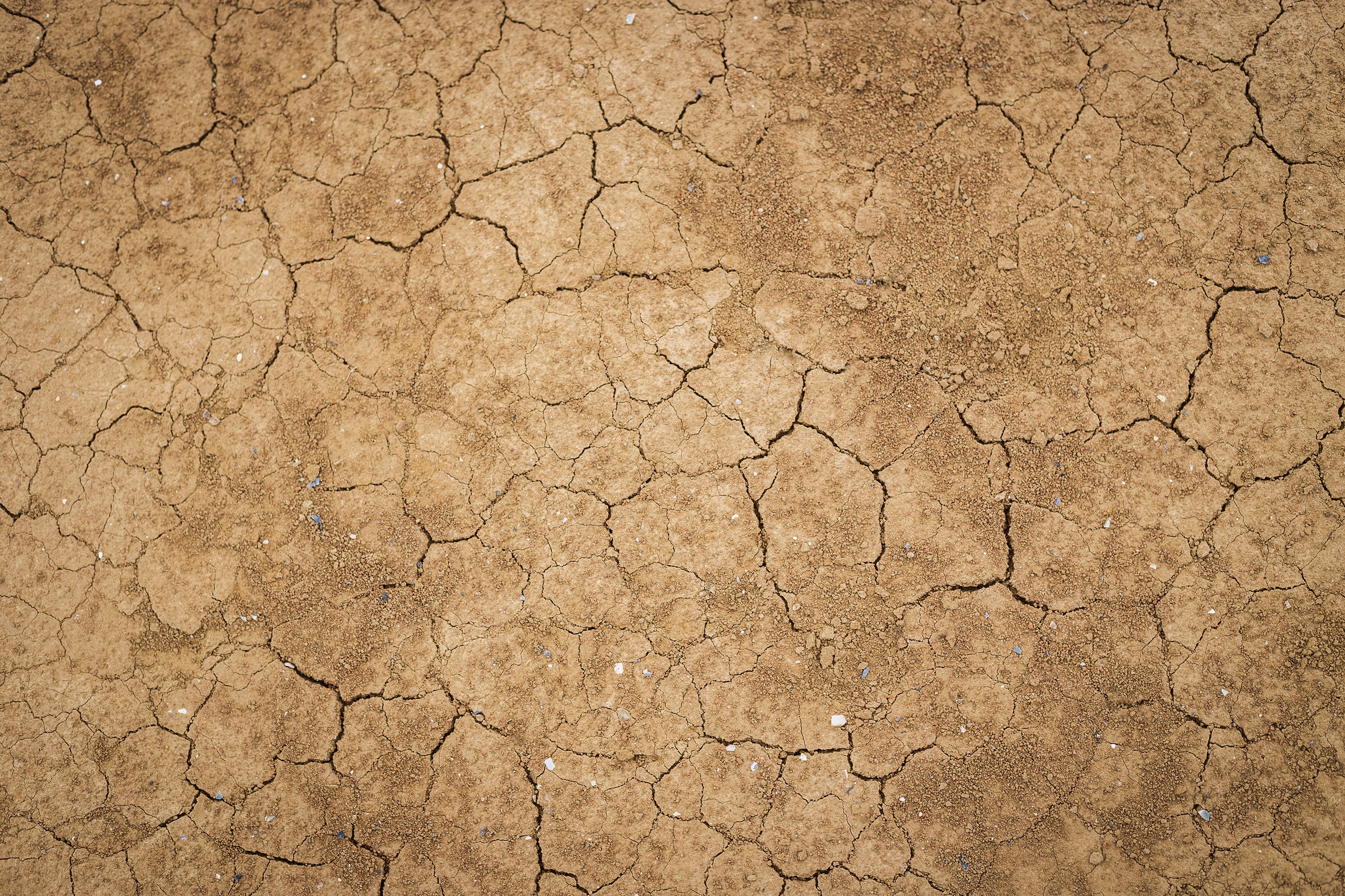 outdoors, crack, backgrounds, soil, no people, dry, natural pattern, nature, desert, close-up, mud, 2K, scenics - nature, textured effect, climate, abstract backgrounds, HD Wallpaper