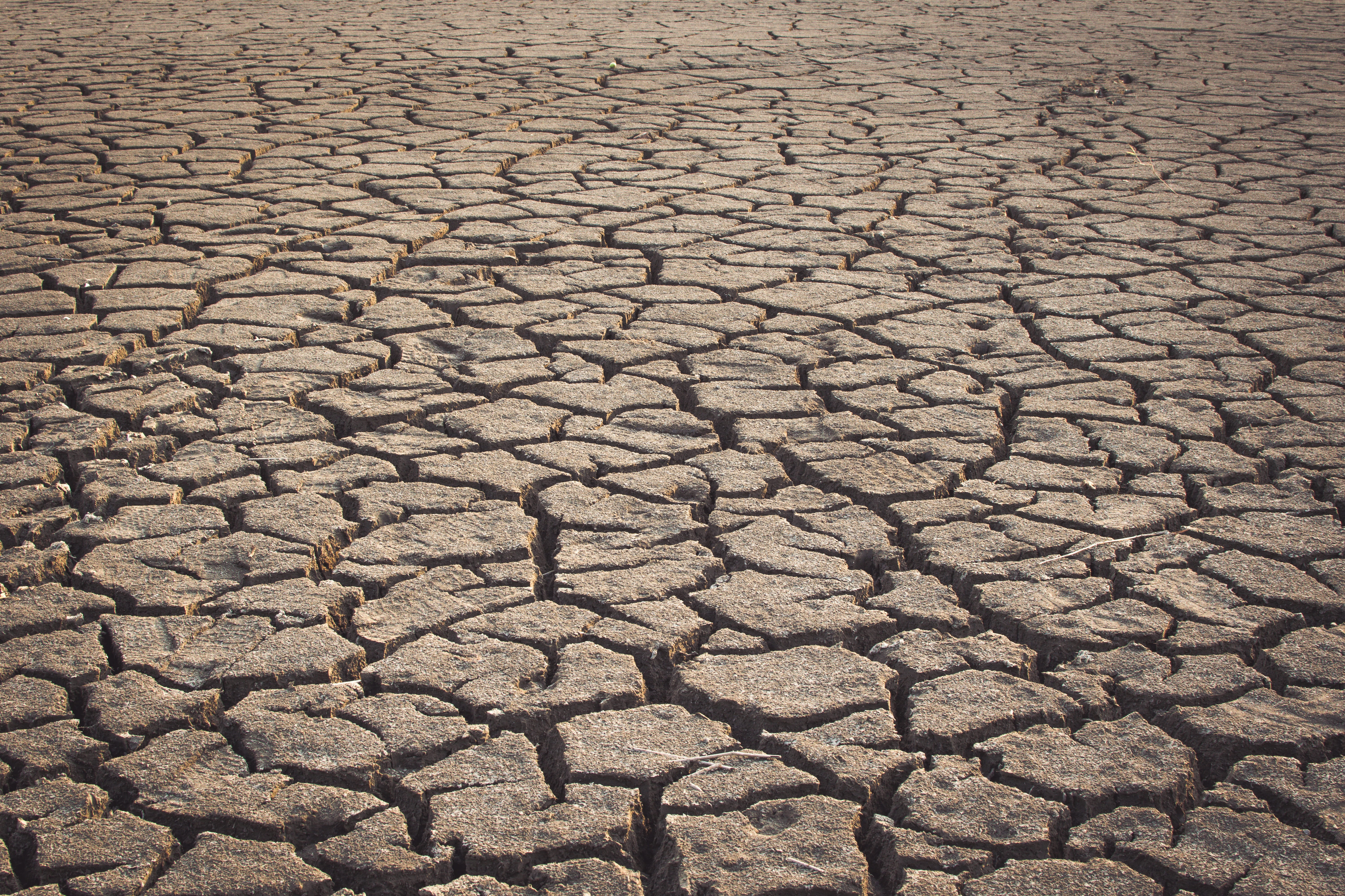 scenics - nature, dry, backgrounds, 5K, sand, pattern, environment, landscape, land, surface level, summer, textured, nature, natural pattern, arid climate, HD Wallpaper