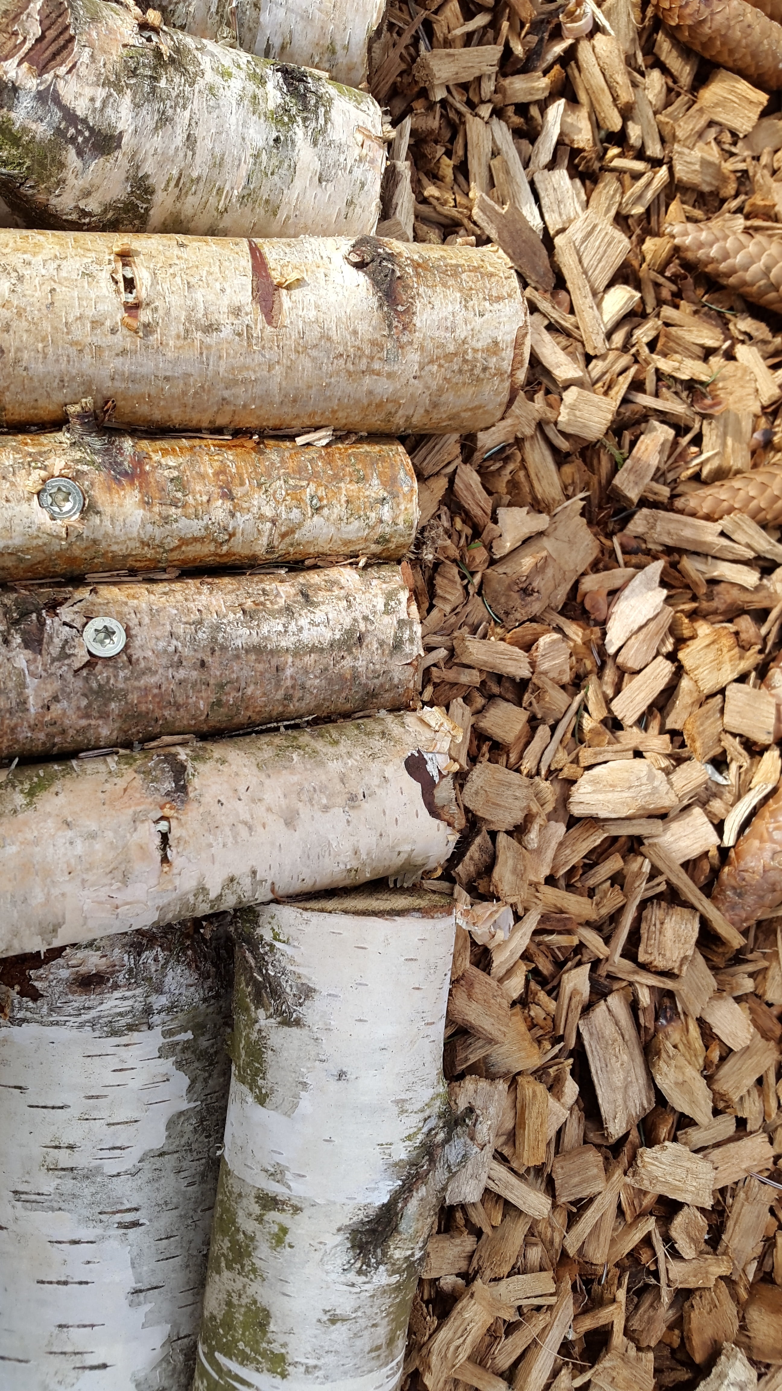 wintry, nature, outdoors, log, birch, dead tree, dehydrated, fossil fuel, 4K, firewood, tannenzweig, lumber industry, storm damage, wood - material, timber, Phone HD Wallpaper