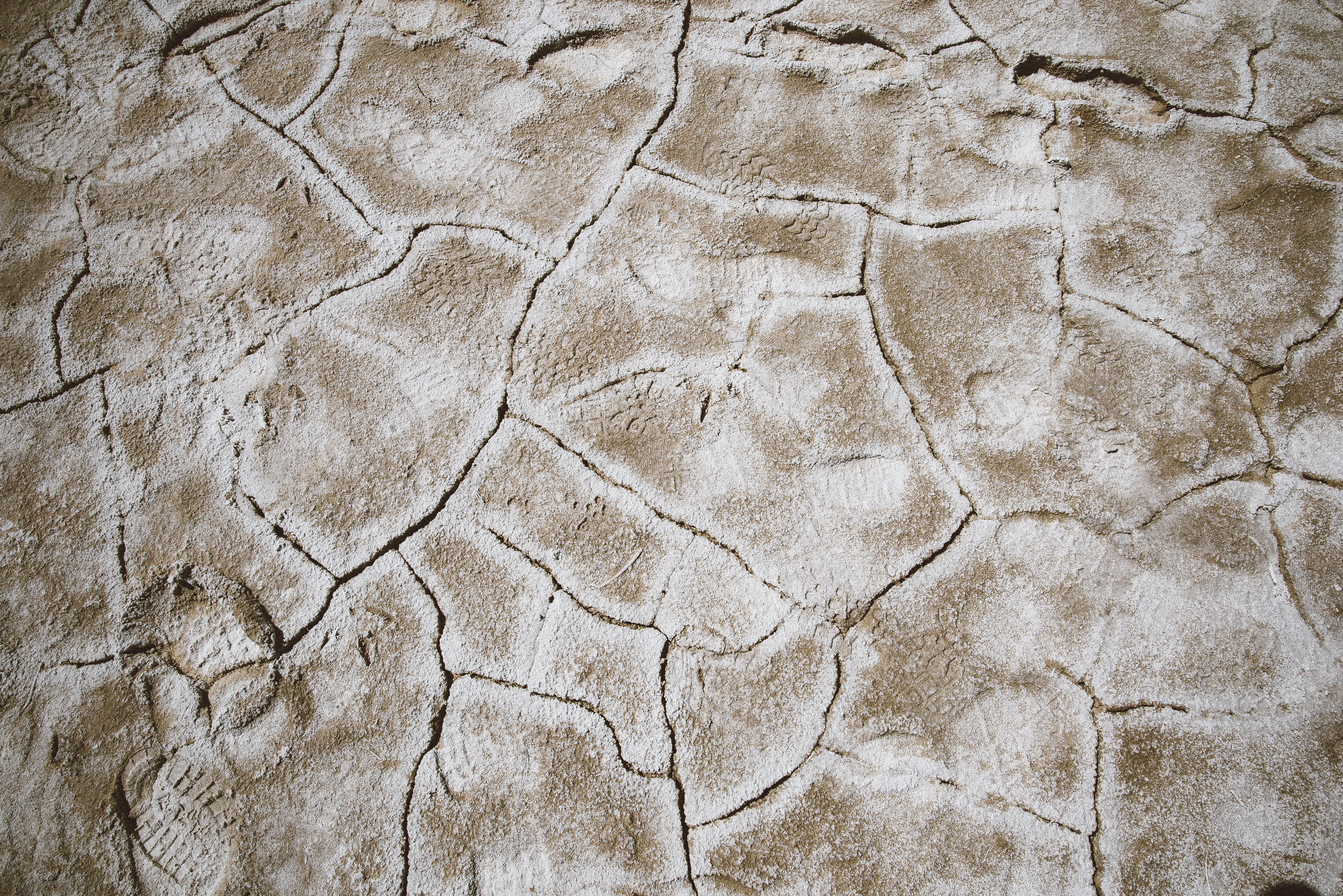 nature, cracked, soil, beige, crack, climate, photo, close-up, textured effect, wall - building feature, arid climate, rock, 5K, landscape, rock - object, HD Wallpaper