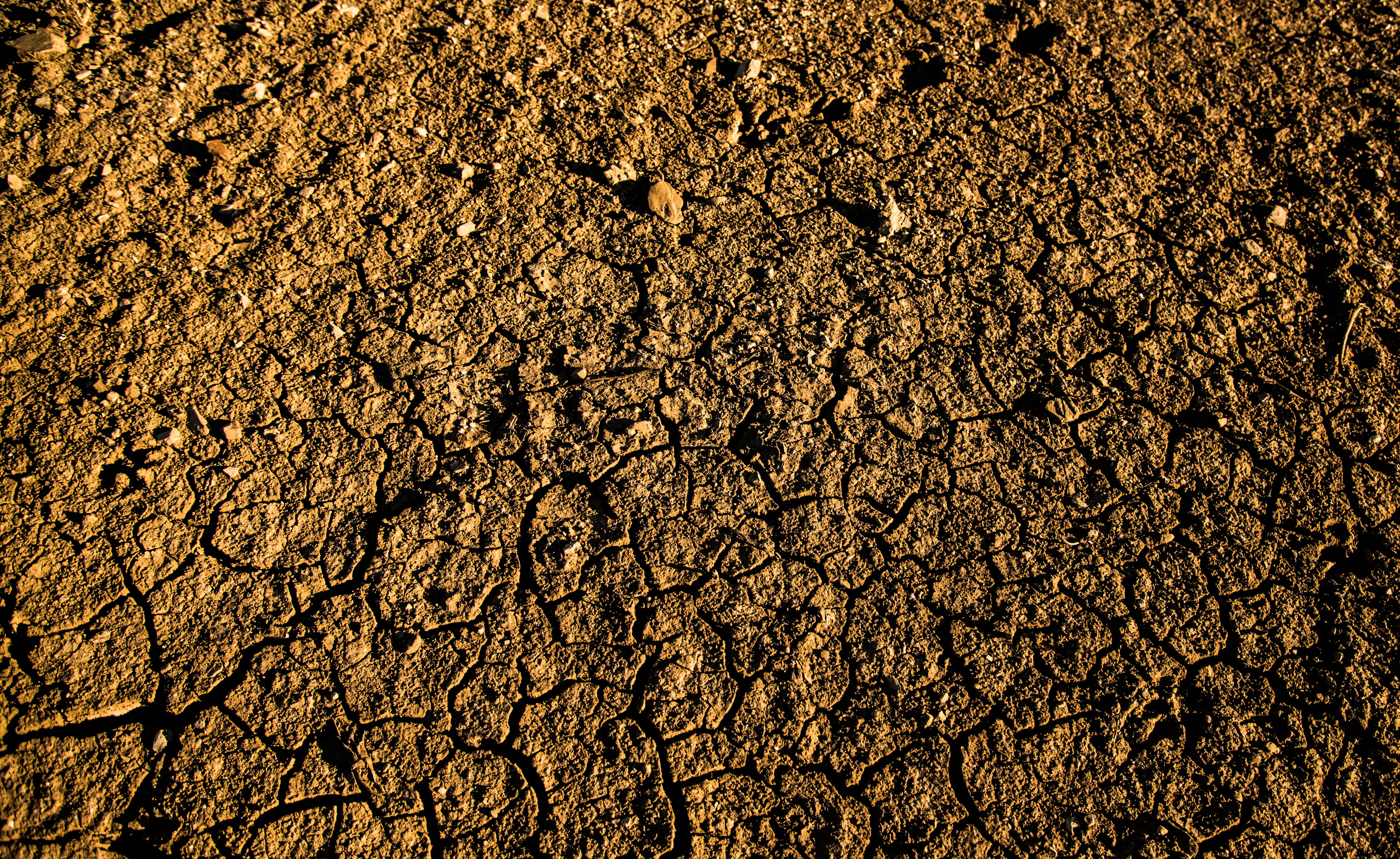 floor, cracks, mud, nature, climate, backgrounds, land, soil, close-up, quartered, bark, texture, no people, broken, drought, arid climate, dirt, dry, scenics - nature, HD Wallpaper