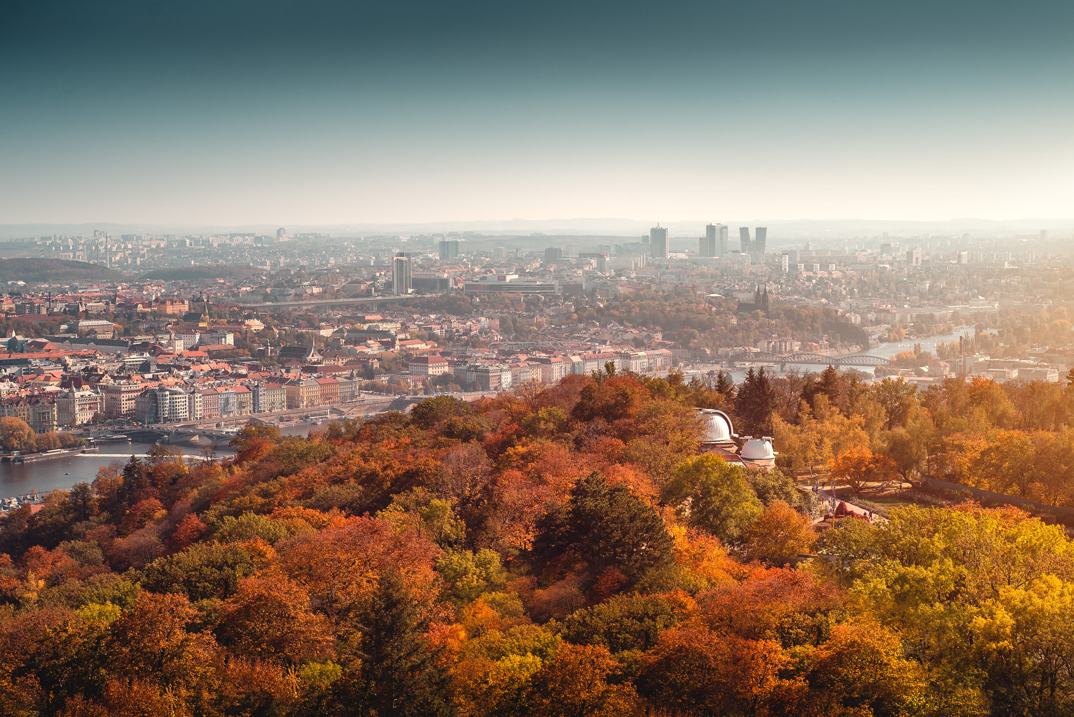 skyscraper, outdoors, tree, scenery, maple, sky, green, travel destinations, building, autumn, change, nature, day, city, houses, downtown, aerial view, HD Wallpaper