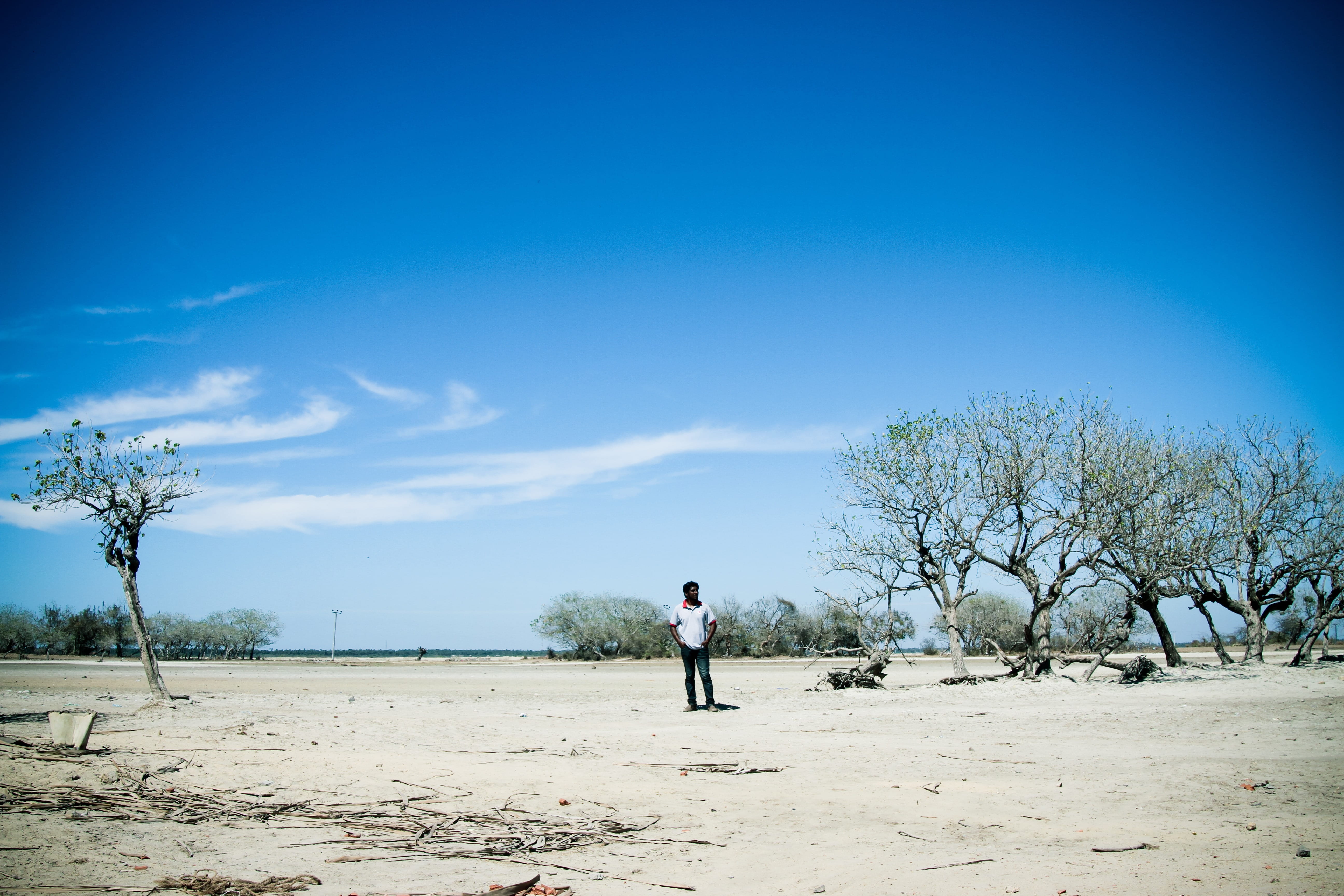 barren, men, lonely, blue, Arid, desert, color Image, beauty in nature, climate, hot, full length, plant, sand, one Person, Trees, lifestyles, businessman, HD Wallpaper