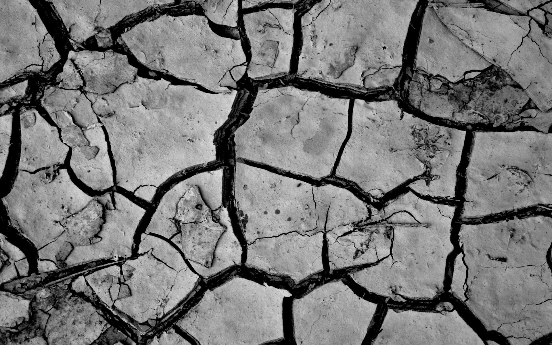 day, cracked, dirty, close-up, drought, climate, crack, environmental Damage, textured, eroded, broken, surface, rough, natural Disaster, warming Up, geology, HD Wallpaper