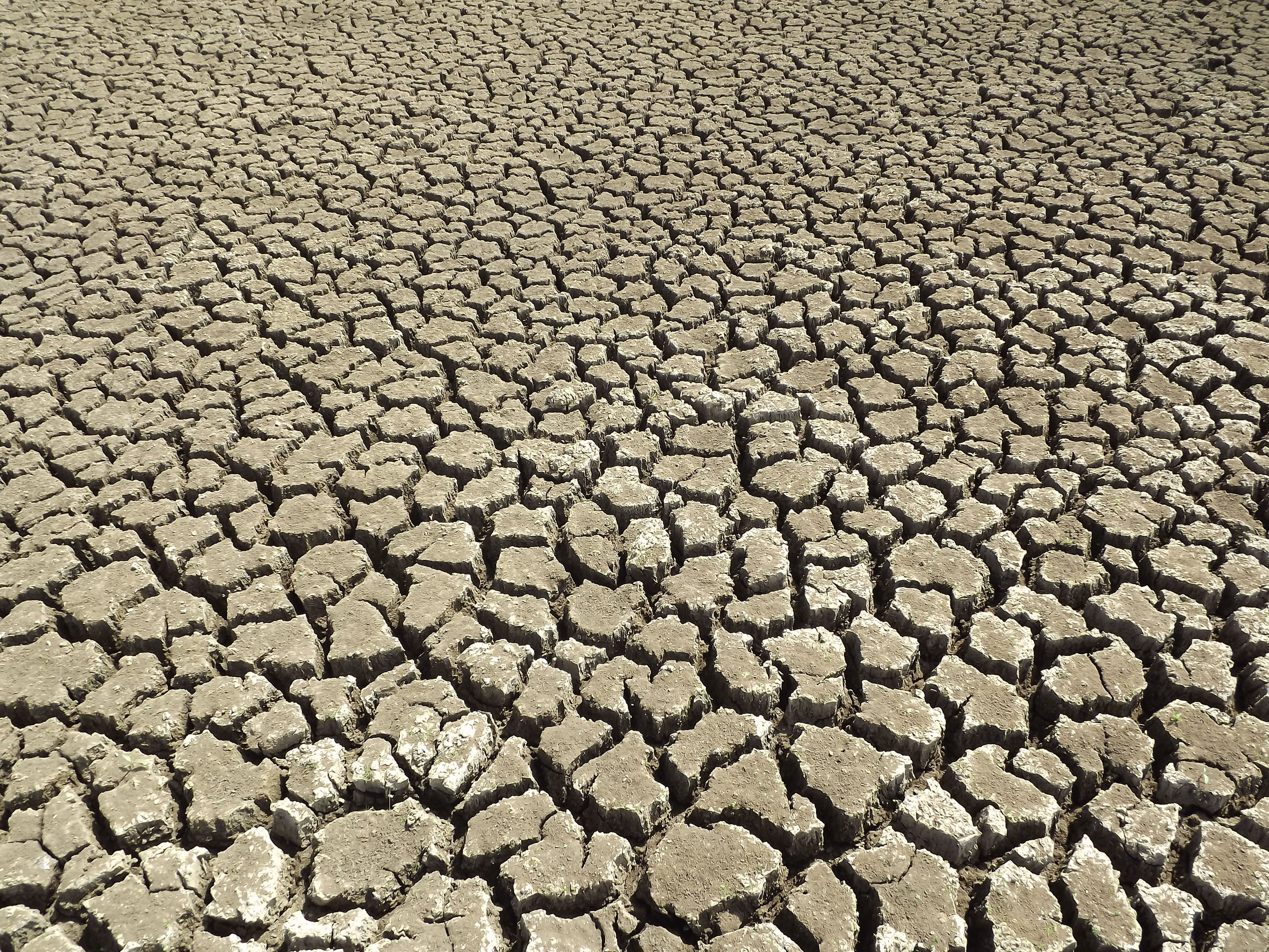 no people, pattern, climate, backcountry, mud, arid climate, outdoors, cracked earth, land, backgrounds, extreme terrain, dry, drought, barren, nature, HD Wallpaper