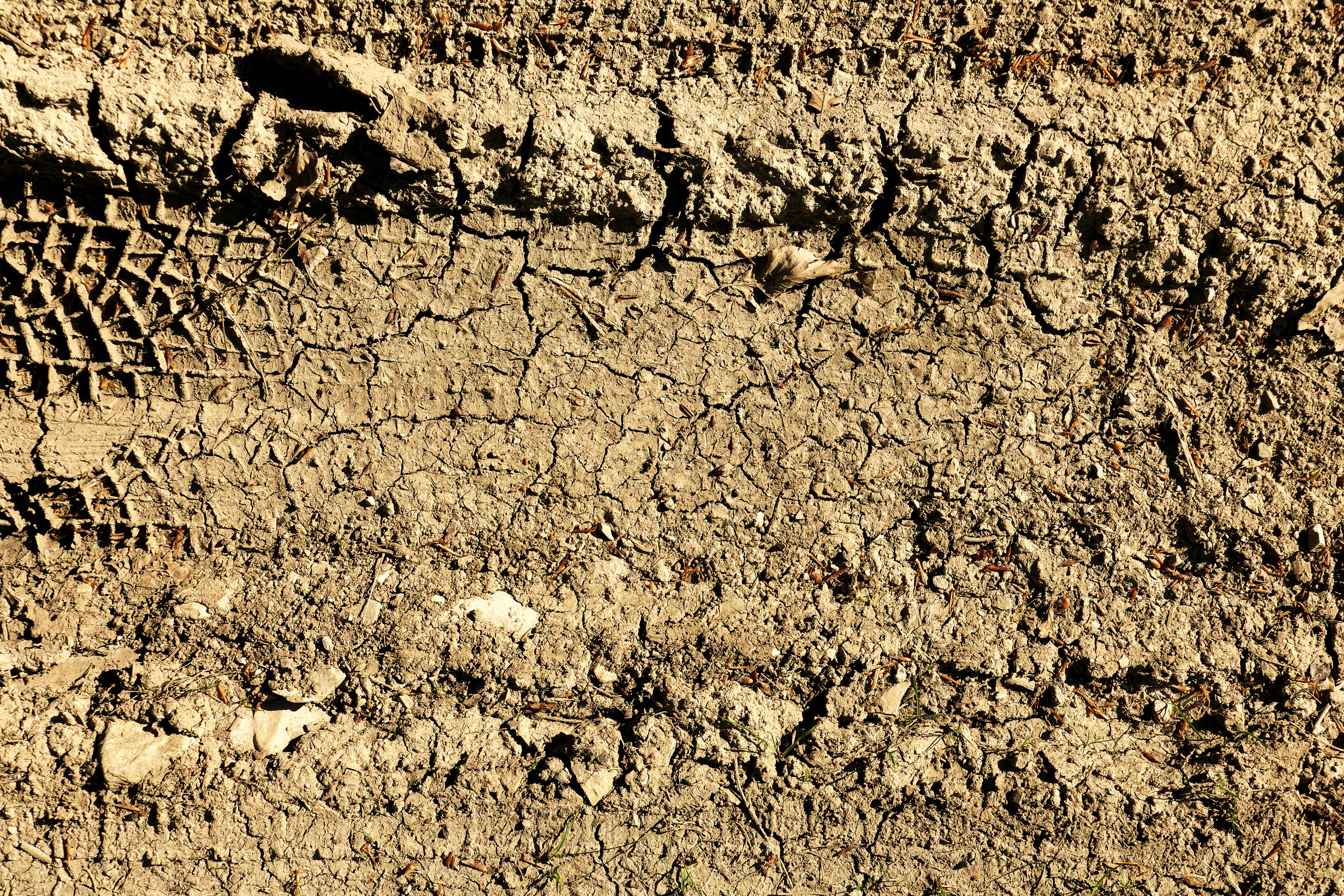 field, nature, scenics - nature, traces, lane, sunlight, textured, no people, high angle view, arid climate, earth, climate, outdoors, day, full frame, HD Wallpaper