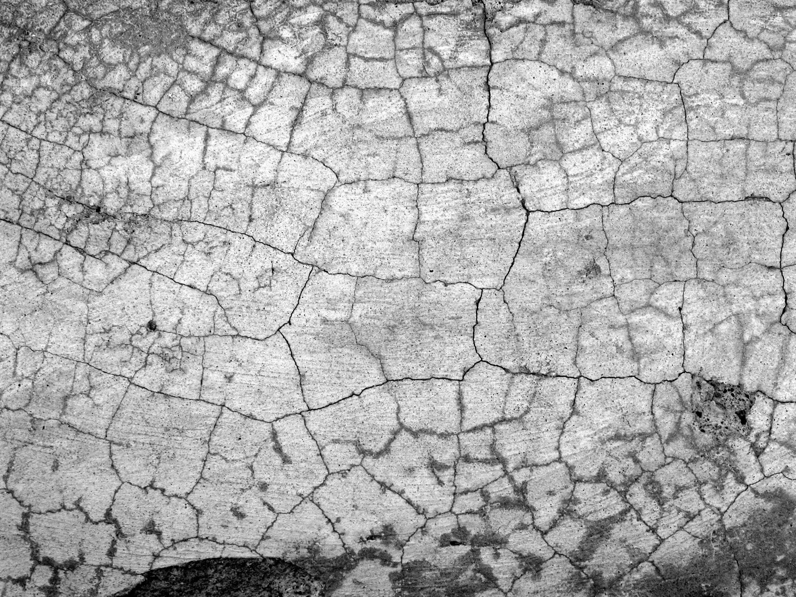 close-up, land, tree ring, concrete, rough, high angle view, tree, day, dry, no people, pavement, ground, nature, cracked, outdoors, full frame, directly above, HD Wallpaper