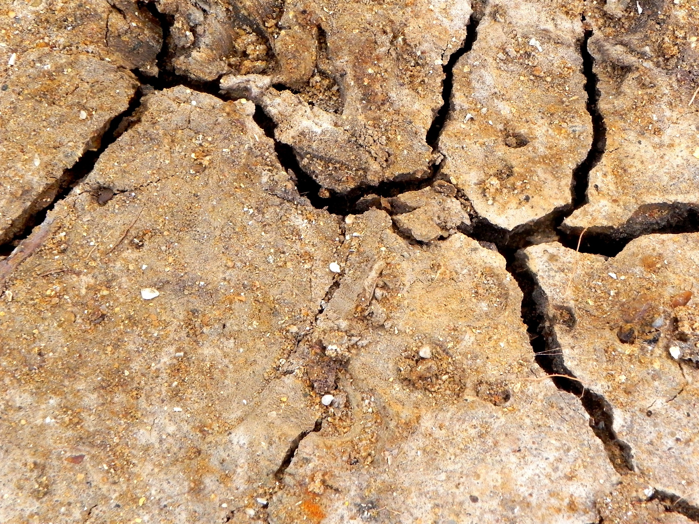 pattern, outdoors, solid, close-up, brown, split, land, full frame, cracked, backgrounds, high angle view, crack, 2K, textured, dry, climate, sand, porous, HD Wallpaper