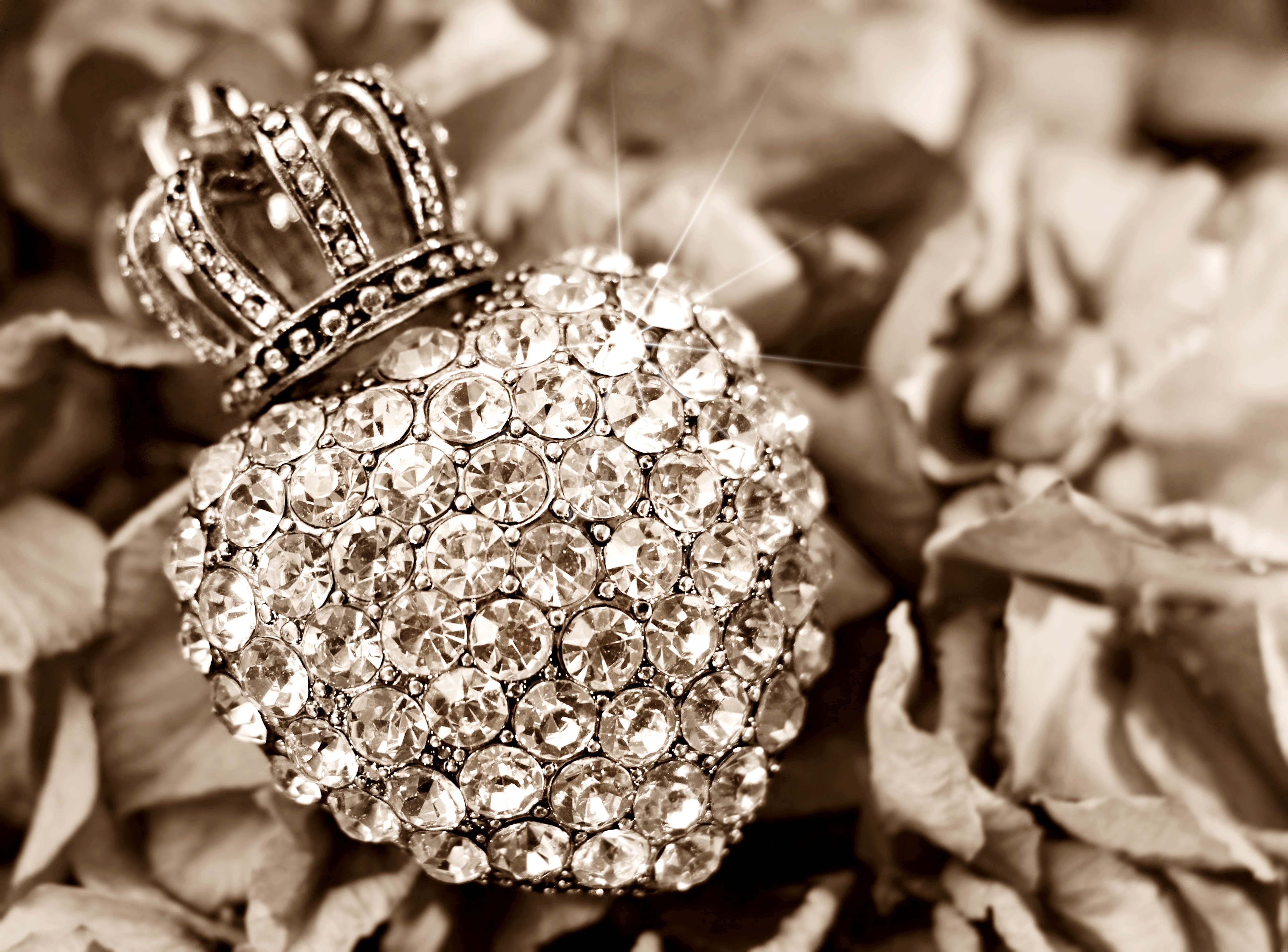 jewelry, autumn, full frame, food, nature, selective focus, crown, no people, luxury, focus on foreground, clear, gemstone, flower, shiny, heart, silver colored, HD Wallpaper