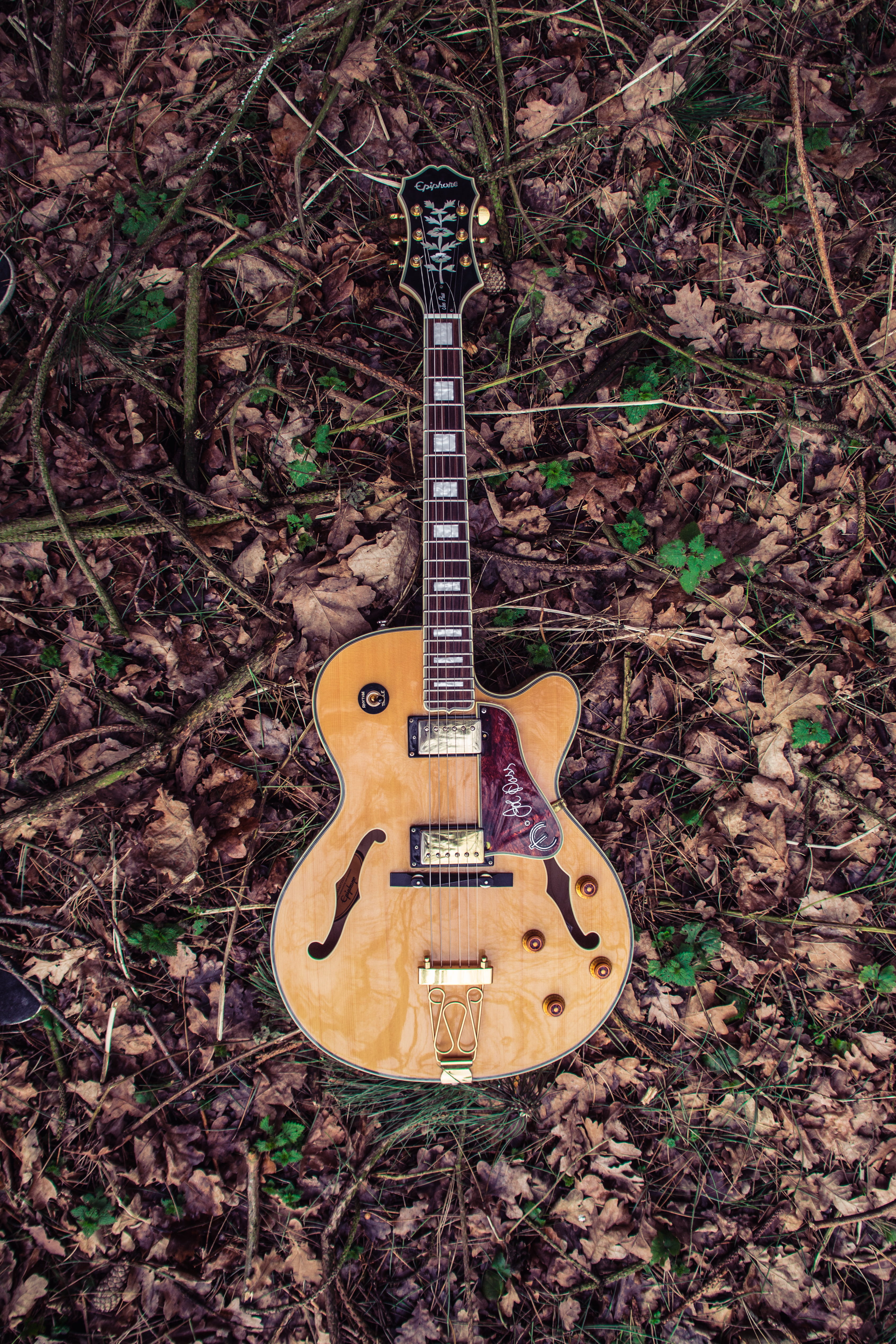 acoustic, musical equipment, music, string, style, paul, electric guitar, plant part, epiphone, brown, flat lay, black, musical instrument, les, fretboard, Phone HD Wallpaper