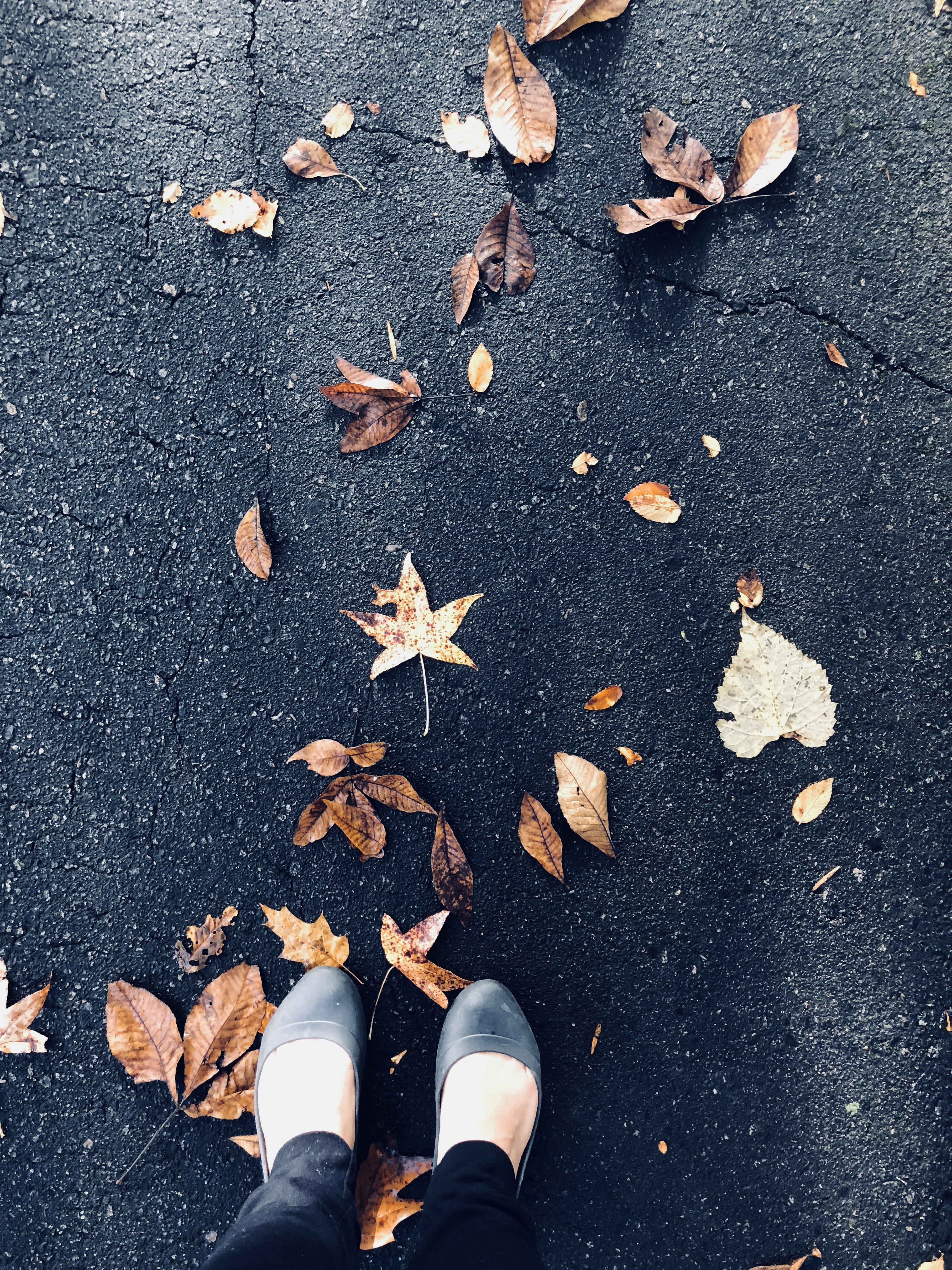 natural condition, autum, nature, outdoors, human foot, falling, dry, human leg, pavement, human limb, 4K, directly above, personal perspective, low section, Phone HD Wallpaper