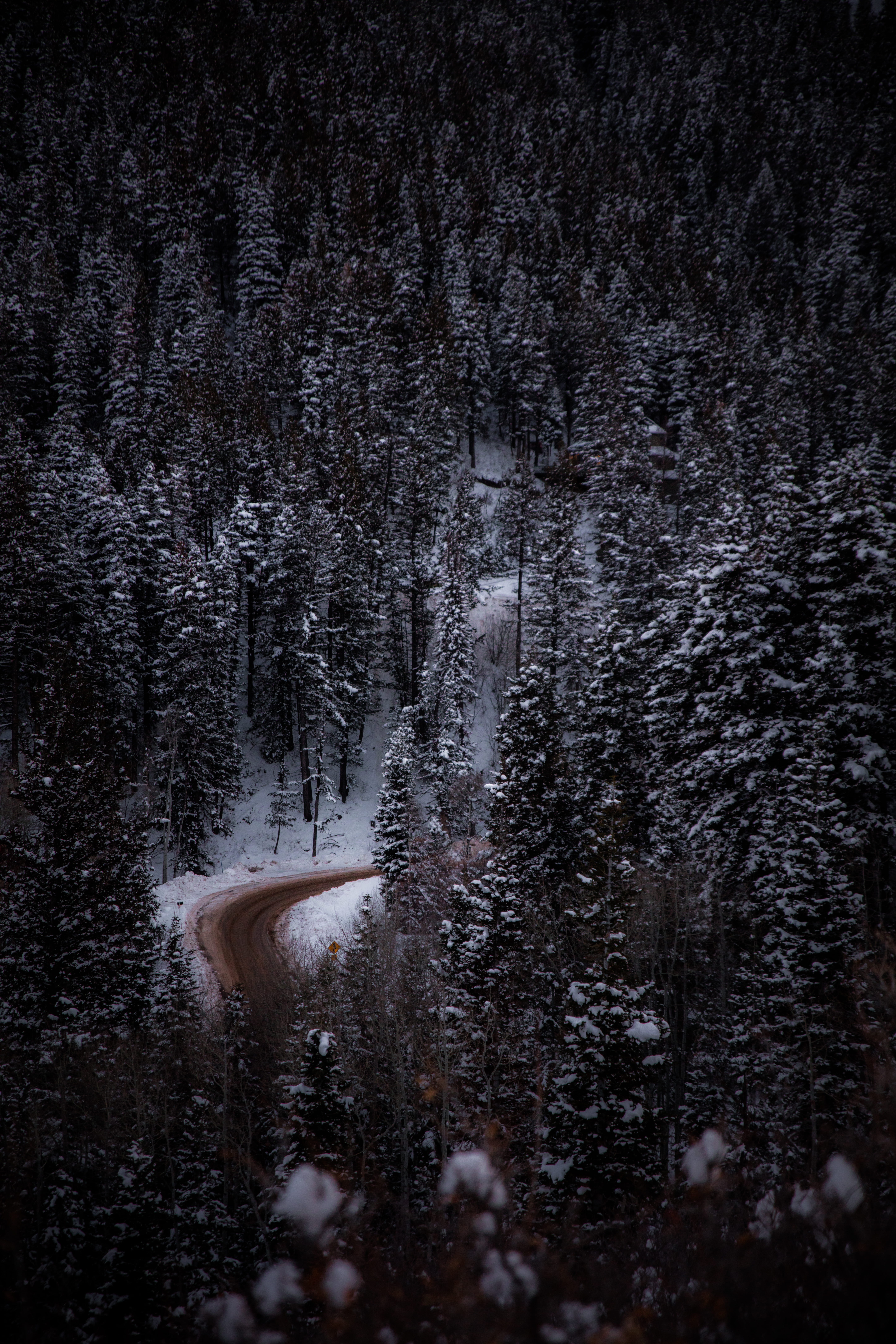 no people, plant, patrick hendry, beauty in nature, tranquil scene, eye, aerial, coniferous tree, forest, snow, road, 8K, tree, surrounded, outdoors, trees, Phone HD Wallpaper