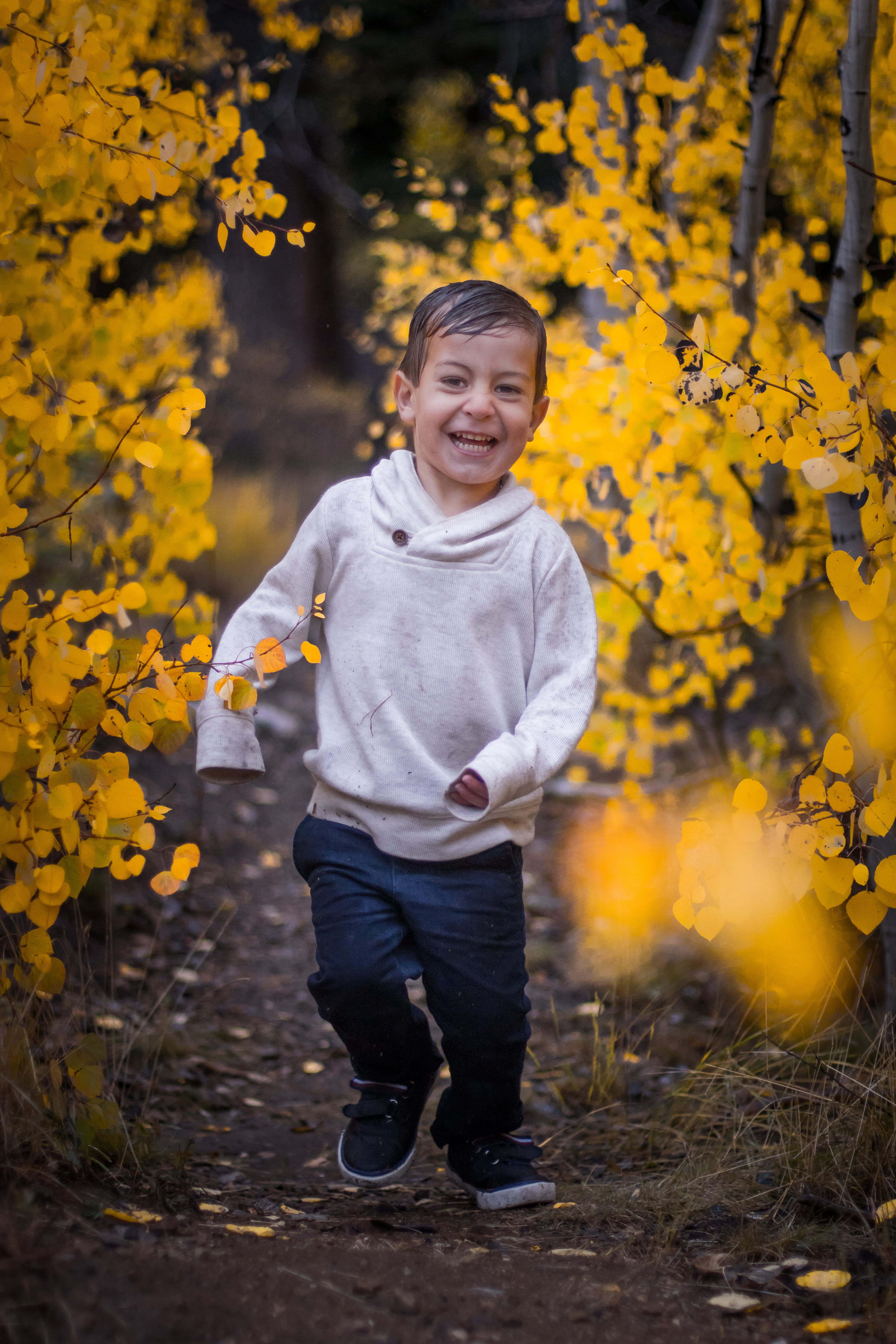 patrick hendry, leaf, innocence, standing, males, plant, portrait, looking at camera, apparel, boy, face, dirt, child, blue, pathway, clothing, running, Phone HD Wallpaper