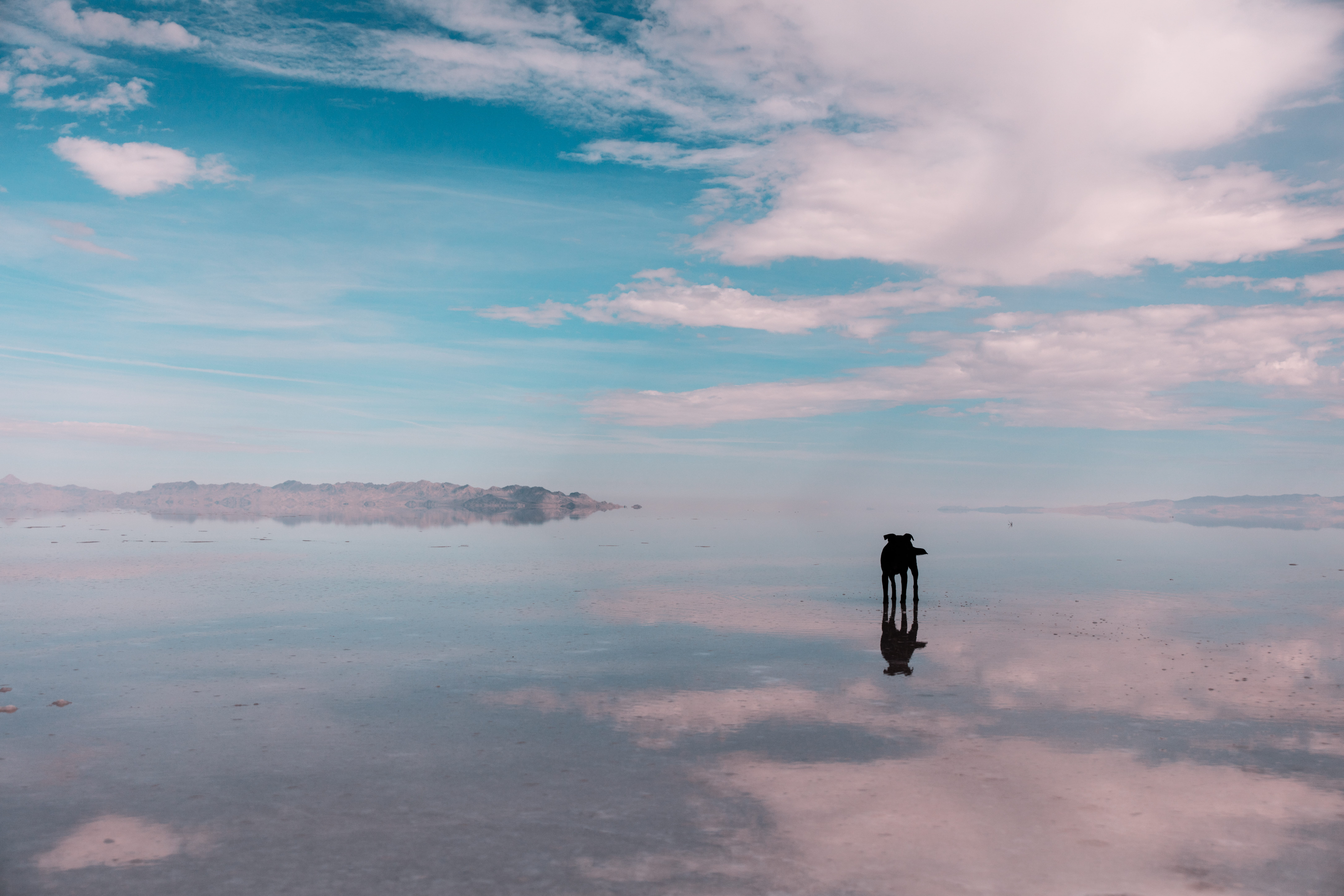 unrecognizable person, red sky, mammal, reflection, tranquil scene, sunset, outdoors, real people, daytime, dawn, patrick hendry, scenery, azure sky, one person, HD Wallpaper