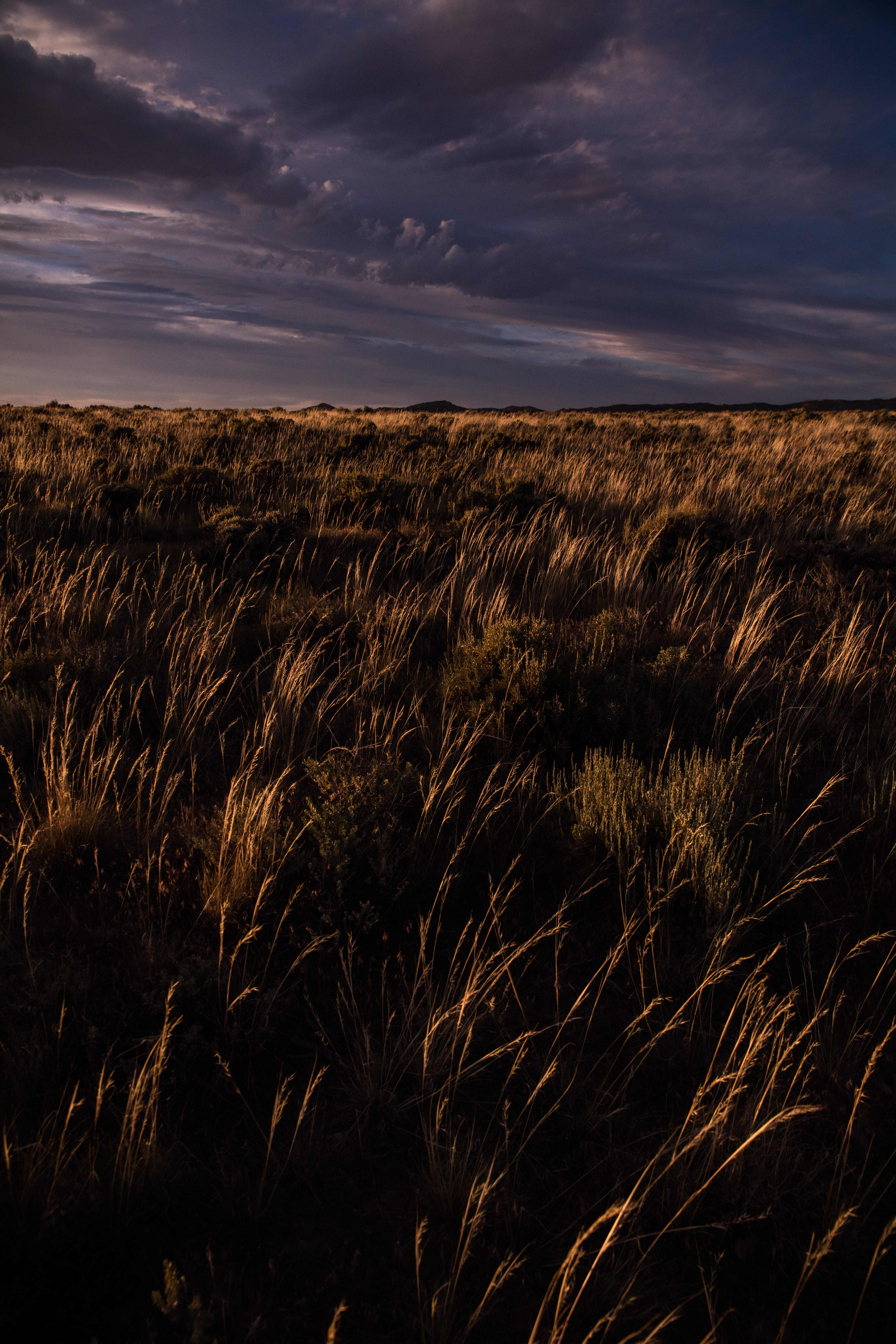 lightening, crop, tranquil scene, horizon over land, yellow, sunset, outdoors, no people, grass, plant, field, landscape, tranquility, purple, land, sky, Phone HD Wallpaper