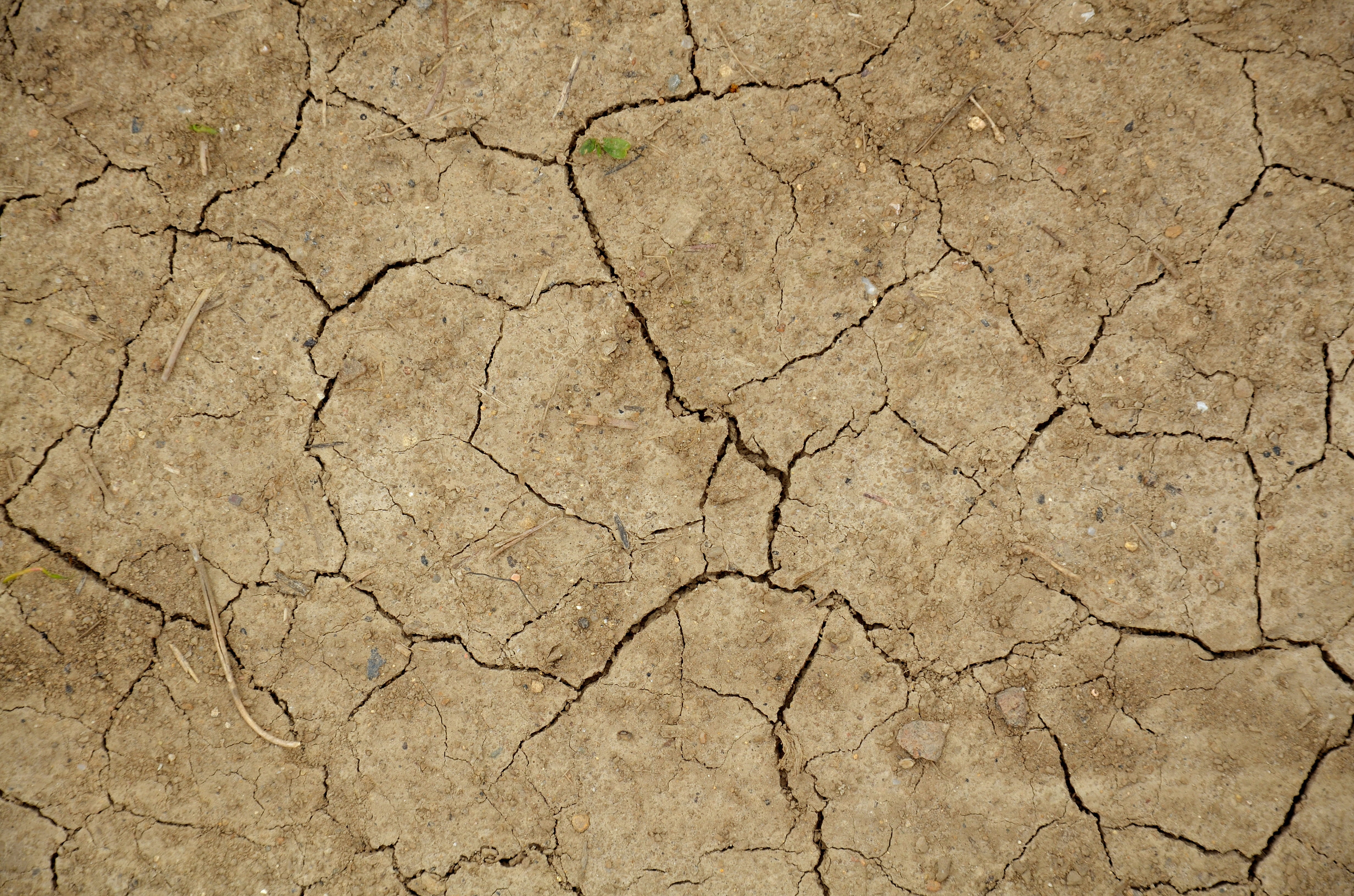climate, 4K, texture, drought, nature, abstract, land, textured effect, landscape, dirt, mud, cracked, erosion, soil, backgrounds, extreme terrain, natural pattern, HD Wallpaper