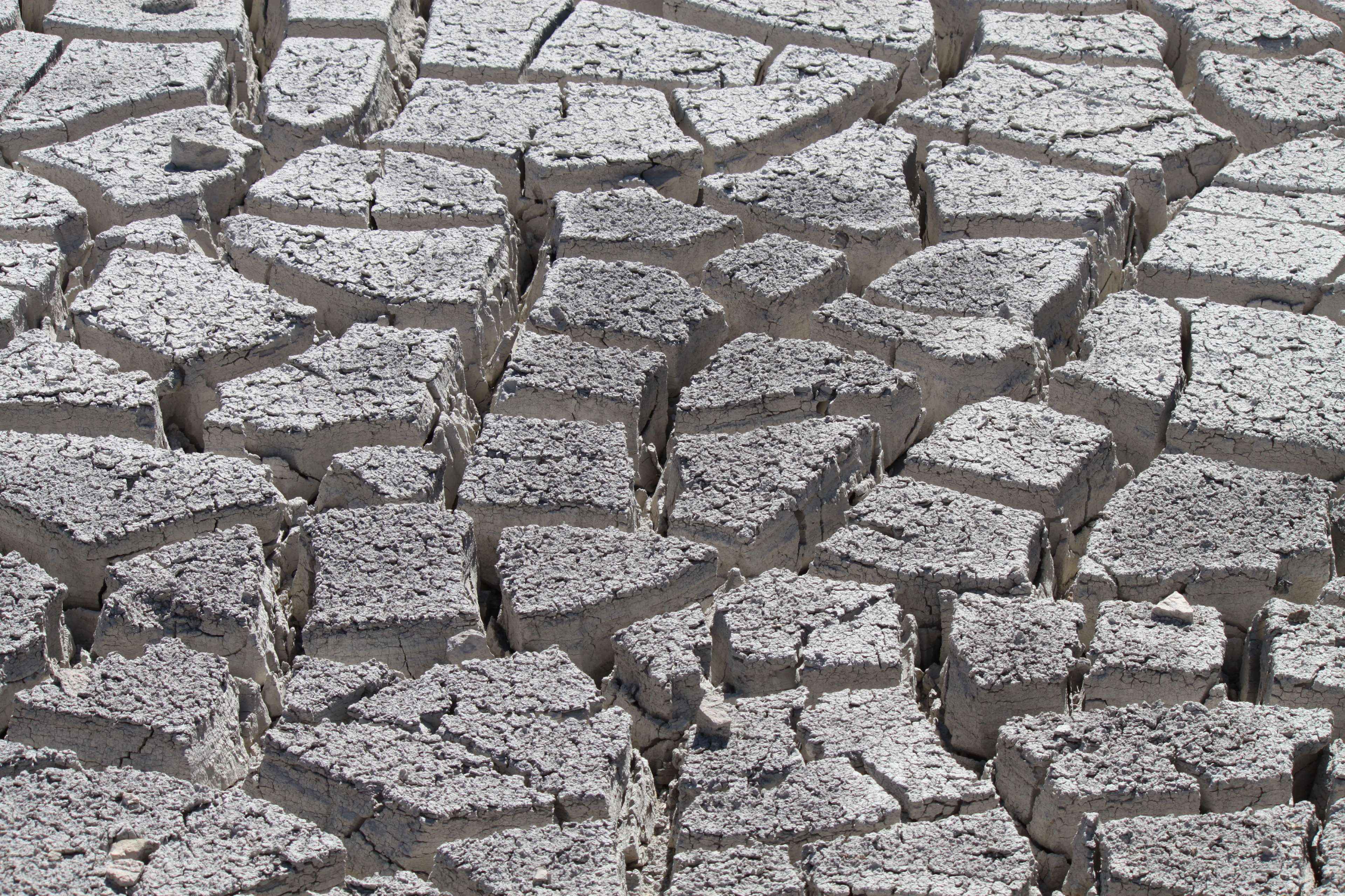 outdoors, 4K, wall, wall - building feature, close-up, concrete, pattern, abundance, large group of objects, dryed out, nature, full frame, backgrounds, HD Wallpaper