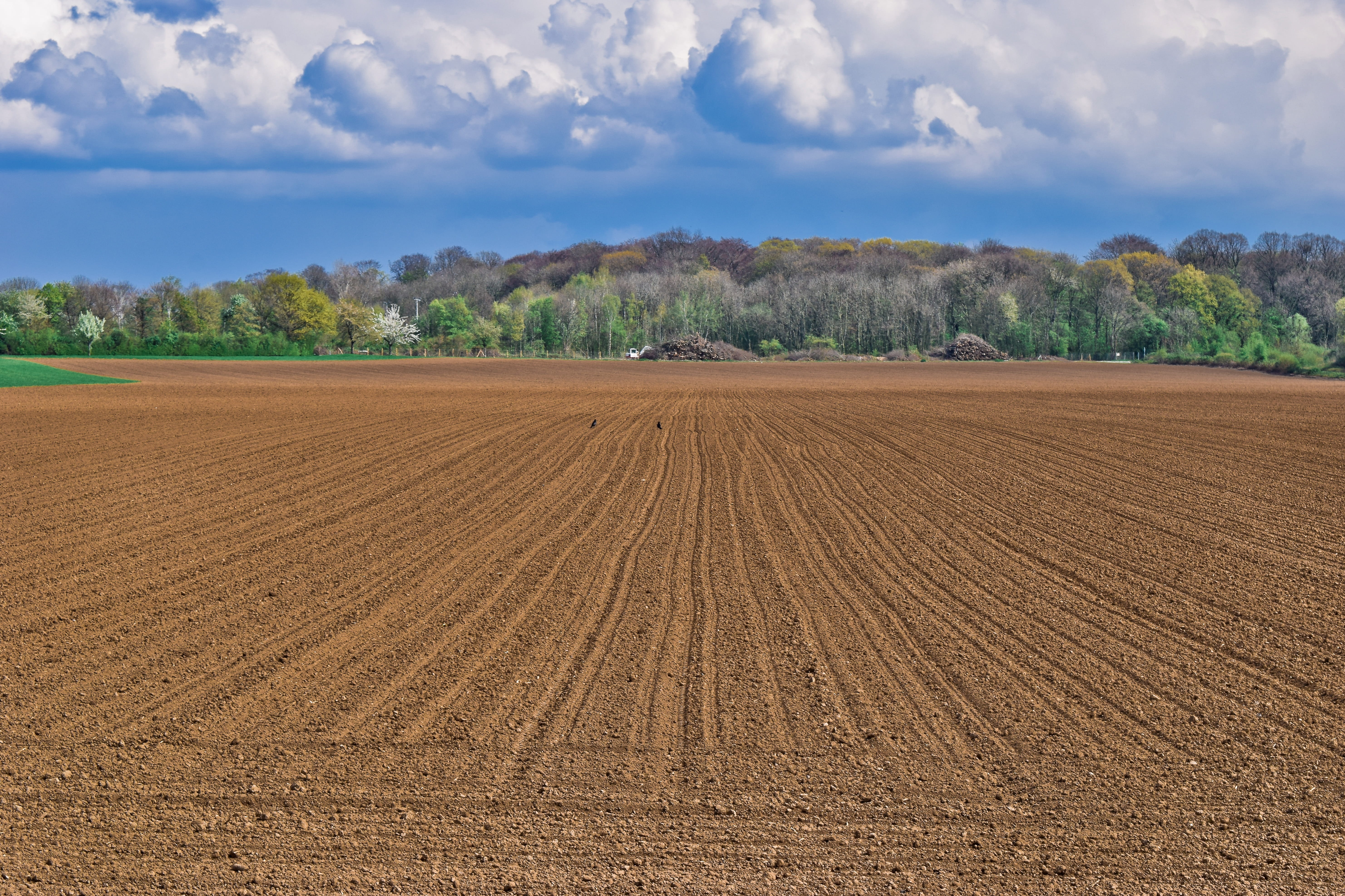 rural scene, earth, ridge, sky, no people, clouds, plant, landscape, nature, environment, outdoors, field, brown, tree, tranquil scene, spring, cloud - sky, HD Wallpaper