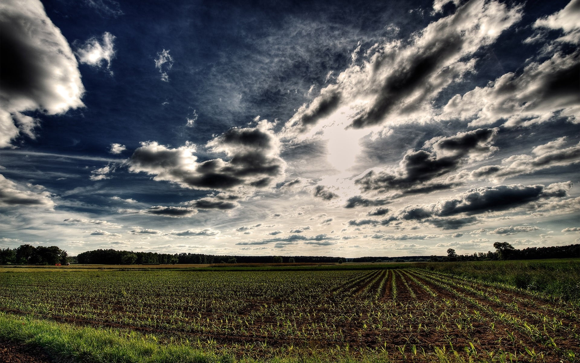 backgrounds, clouds, weather, painting, horizon, outdoors, season, nature, storm, grass, arable land, blue, cloudscape, sky, crop, cloud - Sky, sun, green Color, HD Wallpaper