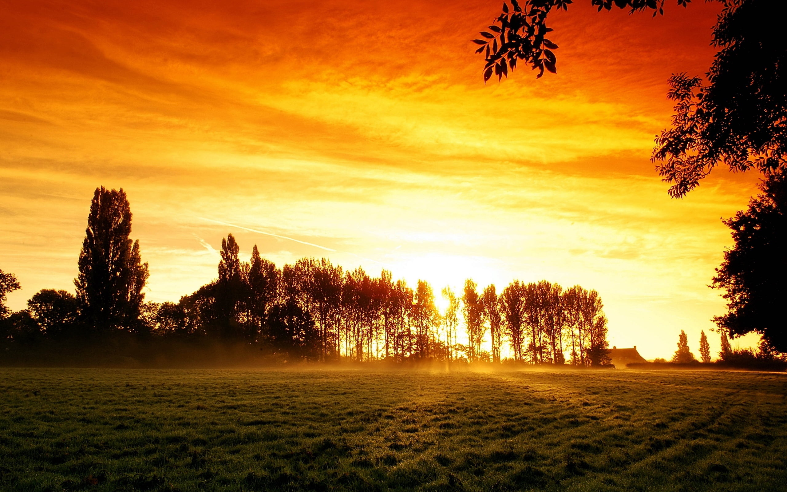 summer, yellow, autumn, dawn, nature, light - Natural Phenomenon, sun, non-Urban Scene, leafed, light, backgrounds, glow, field, morning, cloud - Sky, red, HD Wallpaper