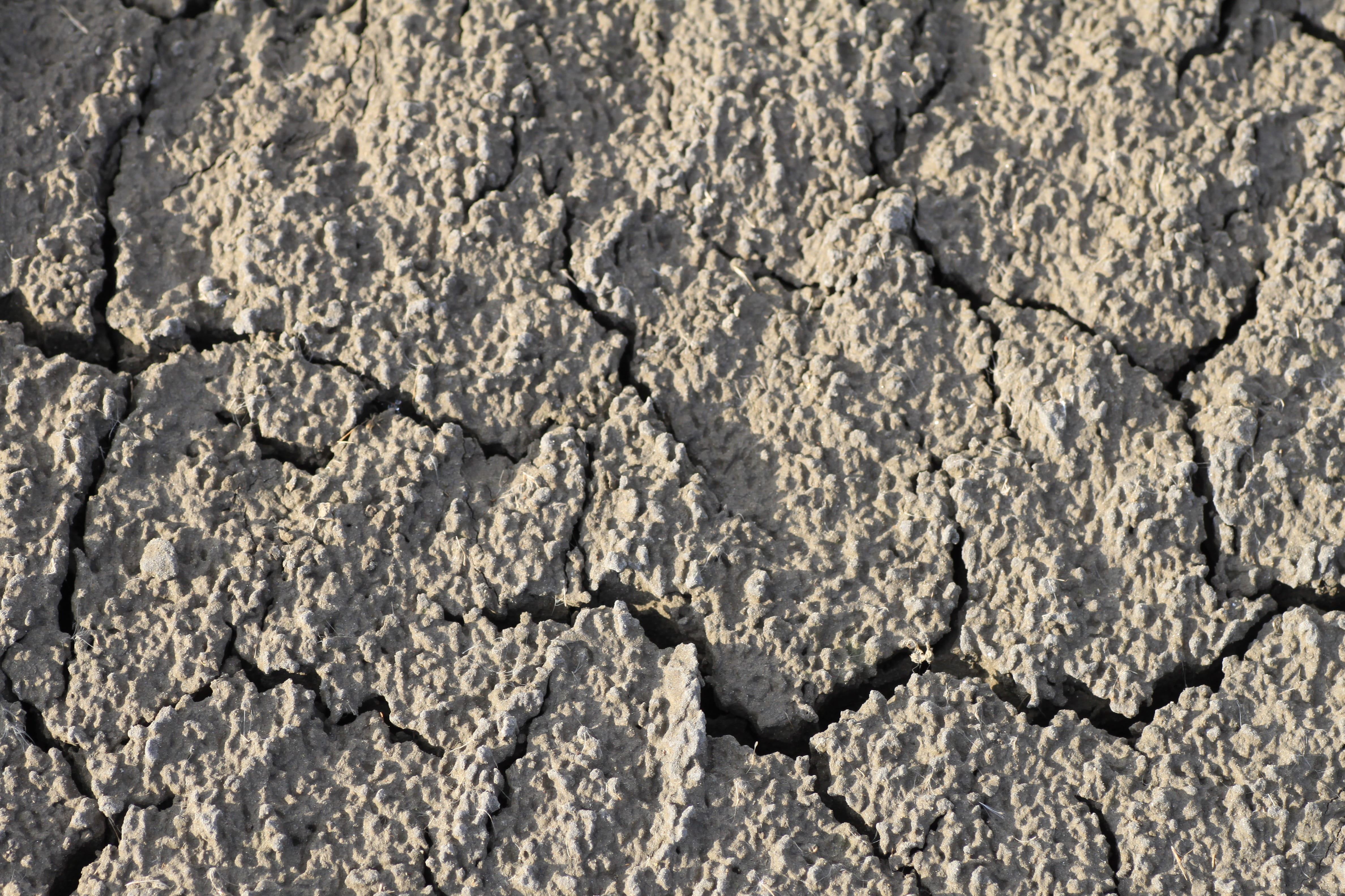 dirt, nature, shriveled from, sandy, pattern, textured effect, mud, Dry, backgrounds, close-up, outdoors, abstract, full frame, geology, day, Ground, rock - object, HD Wallpaper
