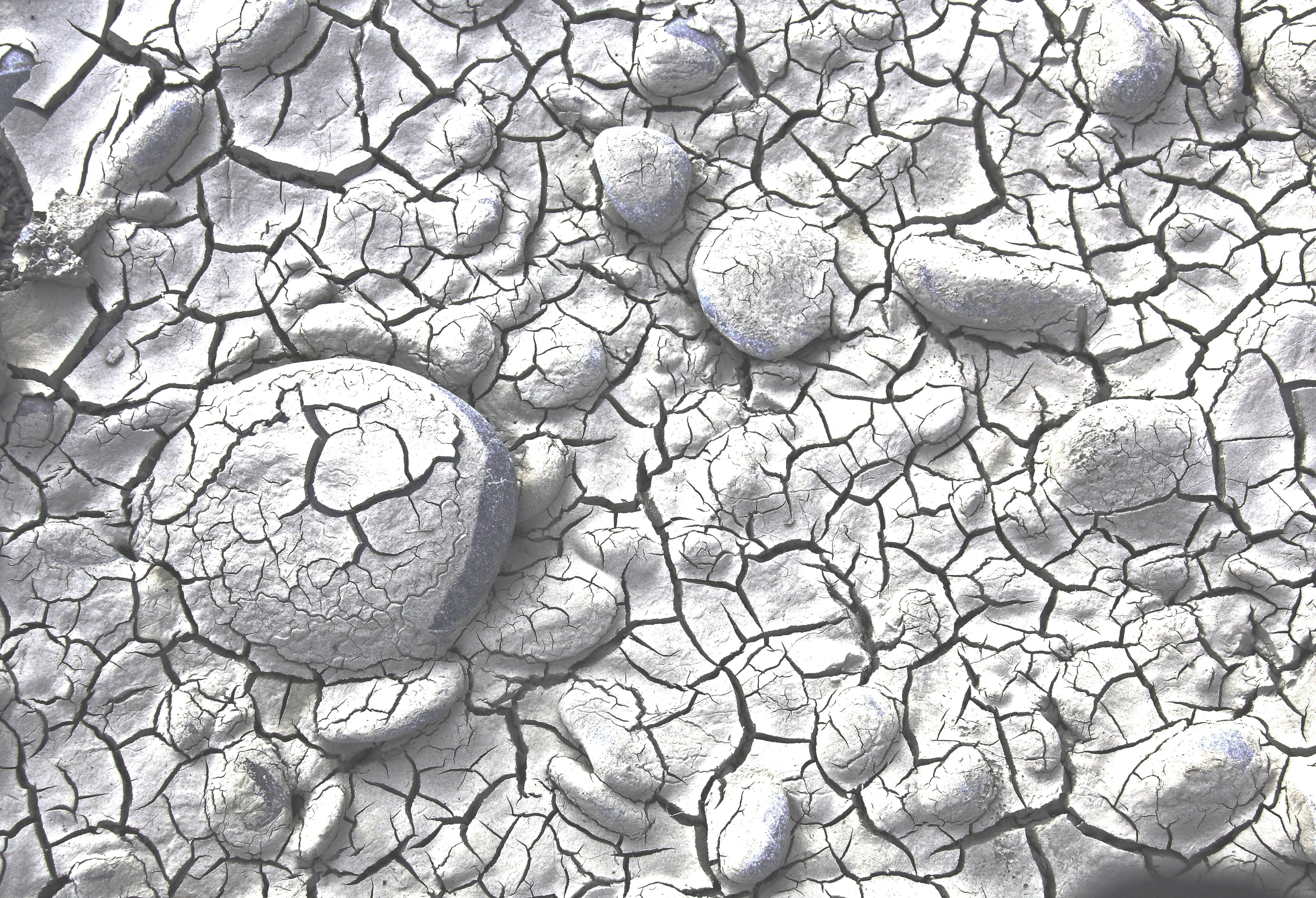 estuary, 4K, stones, textured, tidal, nature, drought, new zealand, plant, close-up, land, pebble, dry, full frame, pebbles, natural pattern, pattern, HD Wallpaper