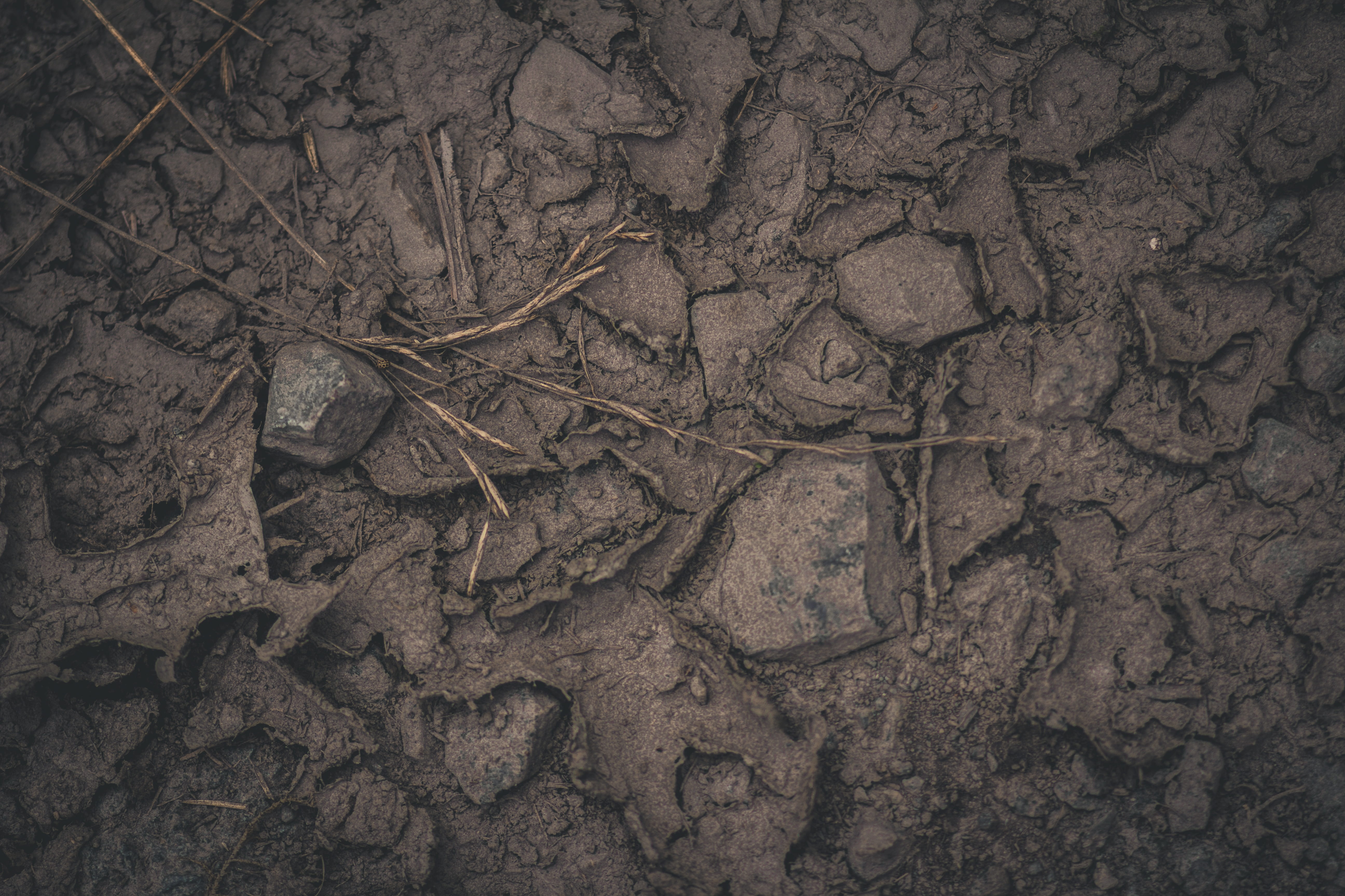 brown, ground, pattern, full frame, dry, forest floor, dirt, high angle view, cracks, drought, basic earth, climate, land, leaf, natural flooring, outdoors, HD Wallpaper