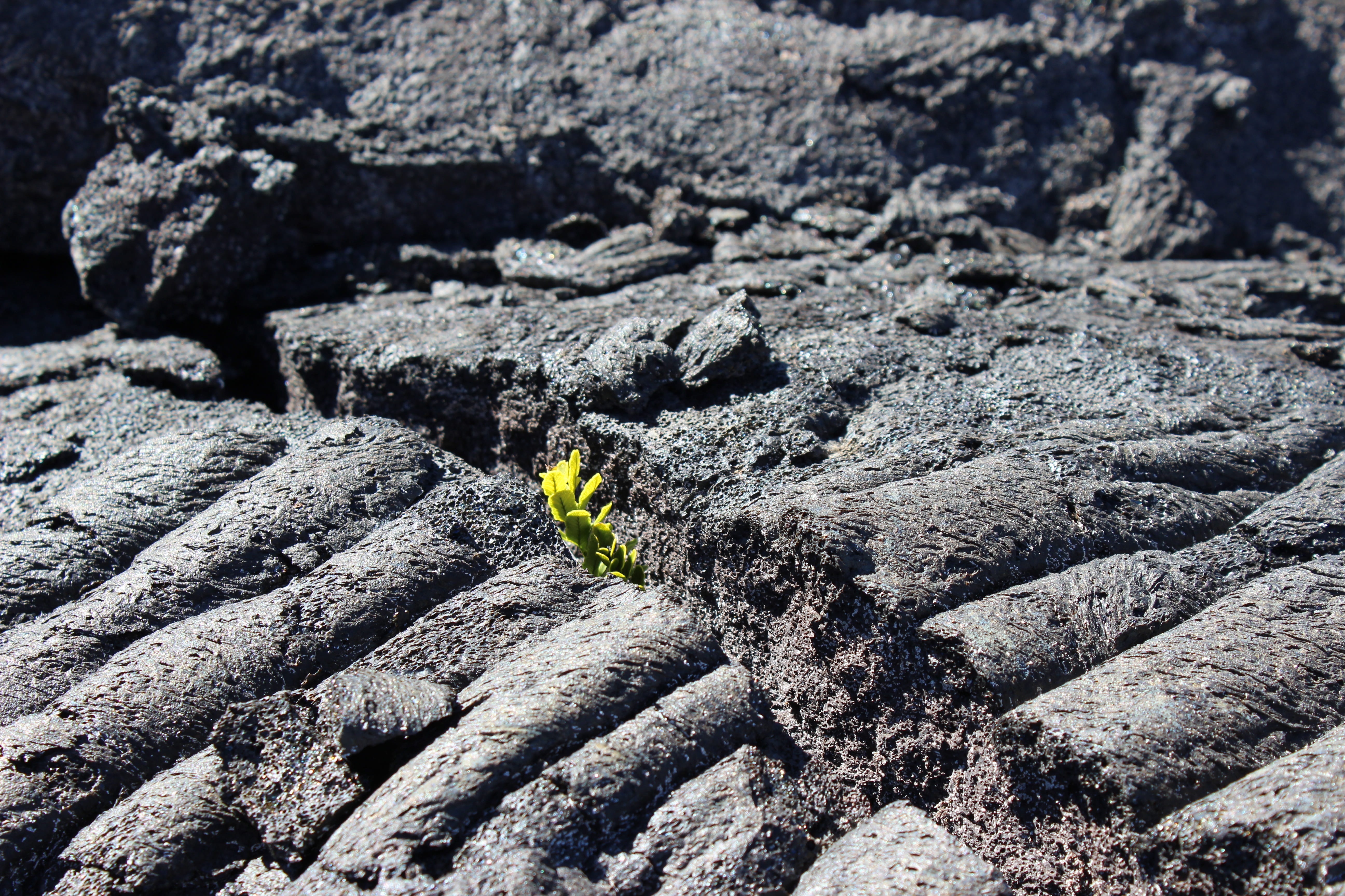 textured, leisure activity, solid, land, no people, geology, lava, nature, rock, selective focus, high angle view, fissure, lifestyles, rock formation, HD Wallpaper
