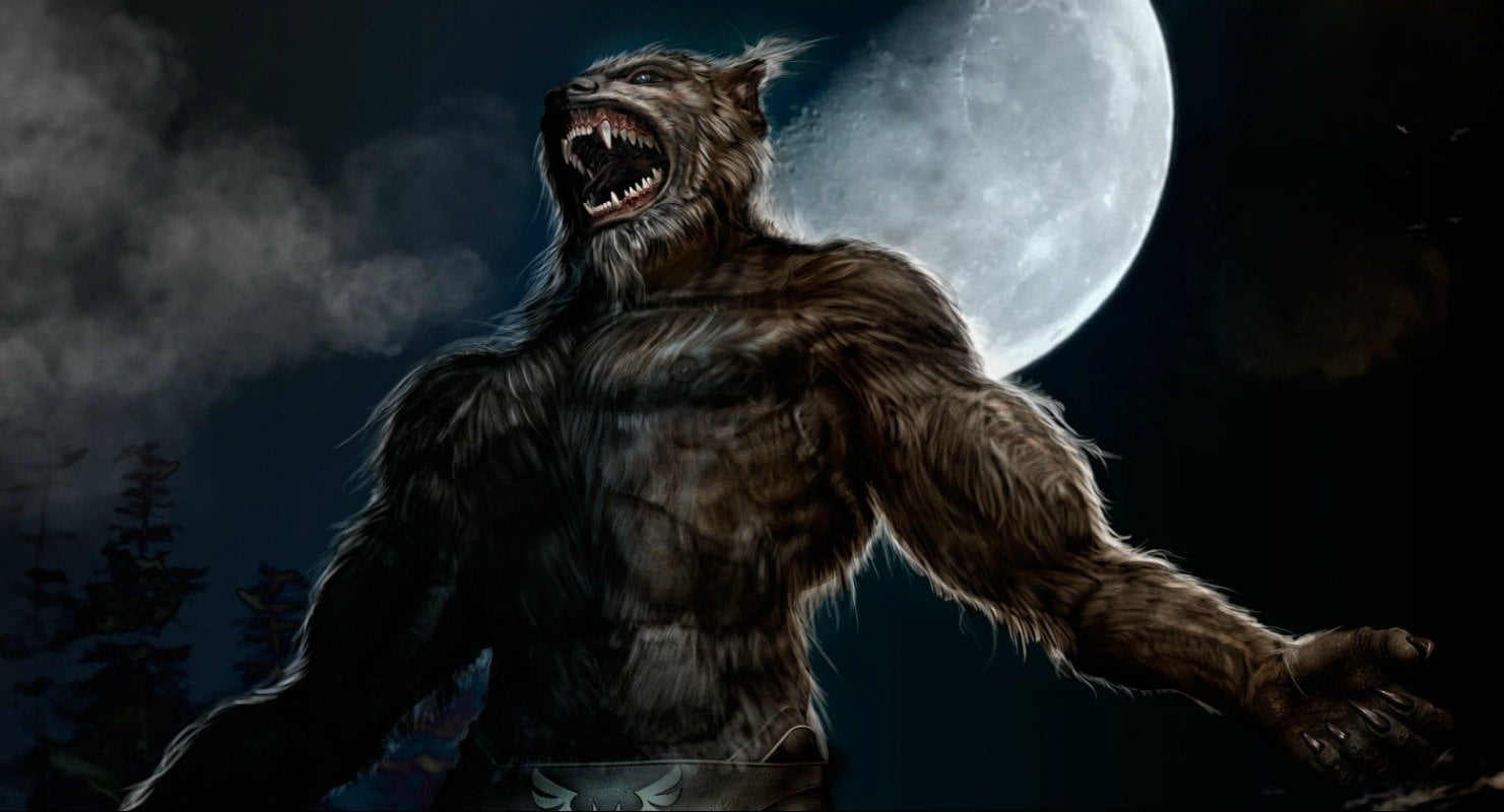 aggression, standing, 720P, black background, animal wildlife, one animal, digital composite, halloween, digital, mouth, costume, studio shot, HD Wallpaper