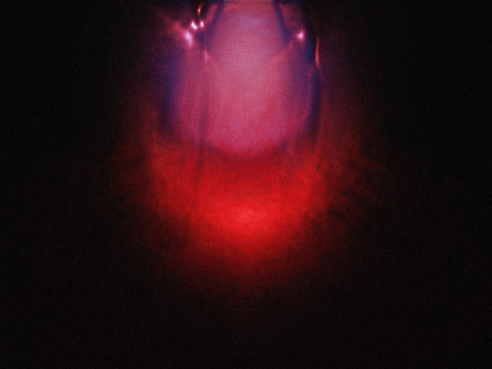 eggs, alien, 720P, abstract, blood, HD Wallpaper