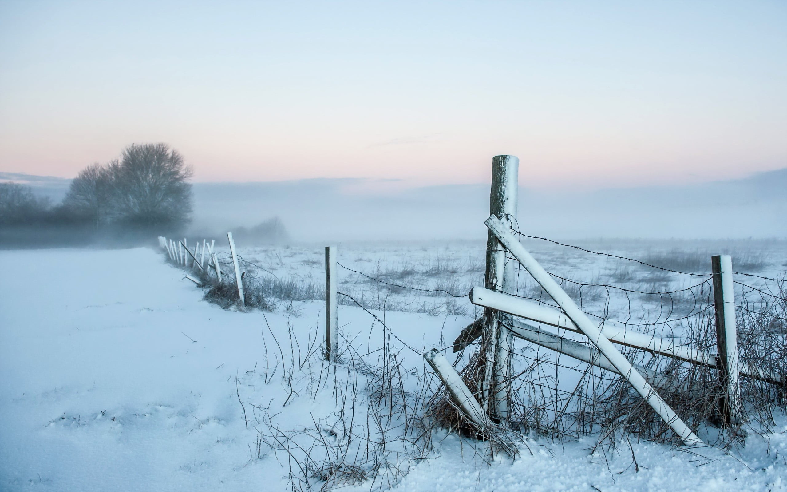 covering, gray, barrier, frozen, sunset, wooden post, snow, fence, sky, white color, boundary, black, scenics - nature, winter, beauty in nature, 2K, outdoors, HD Wallpaper