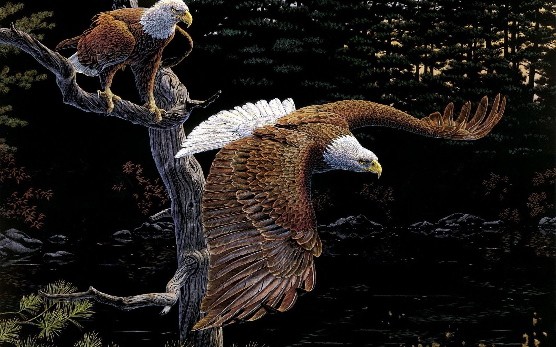 art, birds, eagles, tree, 1080P, forest, agnew, HD Wallpaper