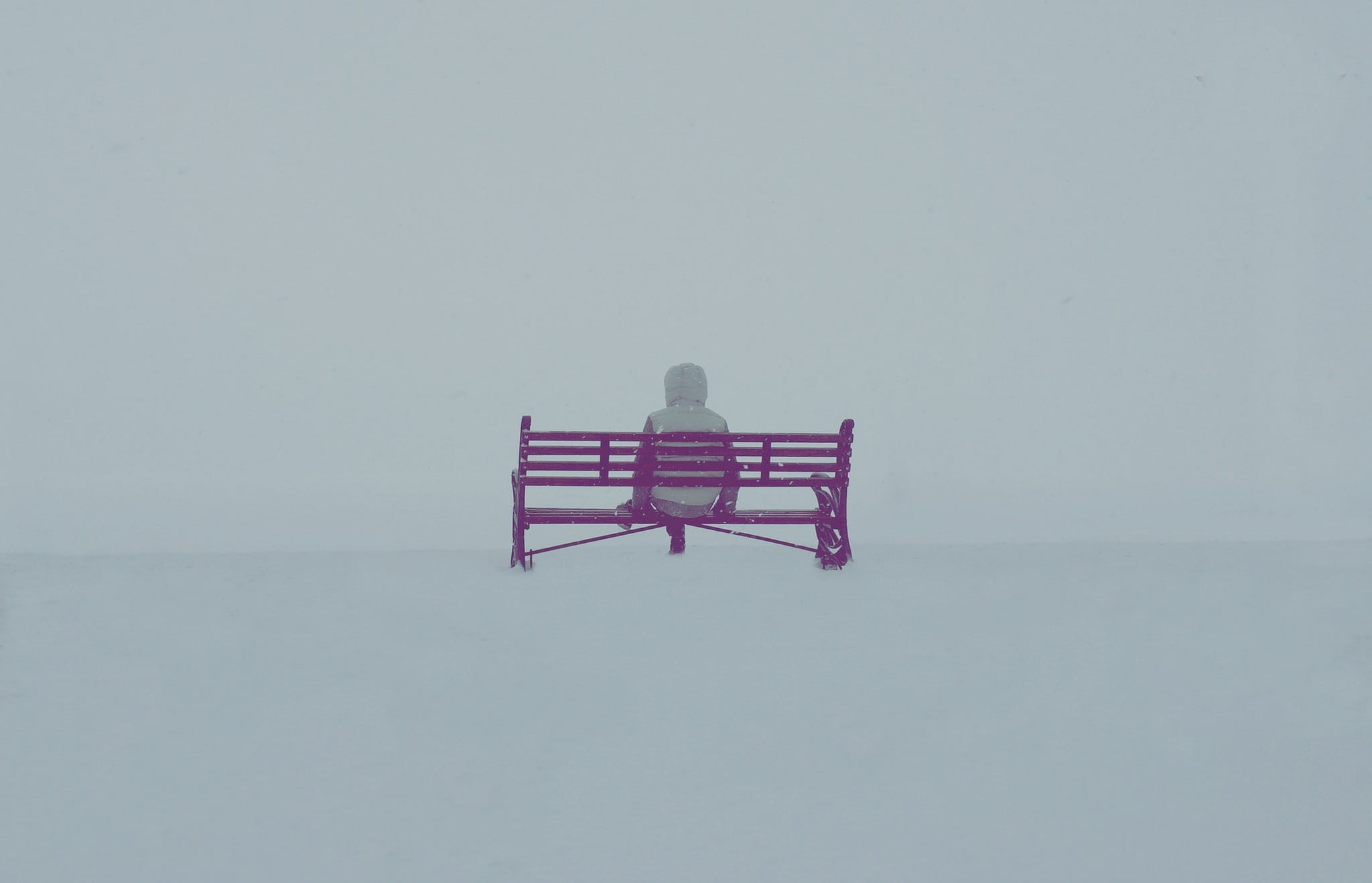 sitting, purple, snow, metal, bench, copy space, absence, people, sky, 1080P, outdoors, nature, seat, day, white color, winter, wood - material, built structure, HD Wallpaper