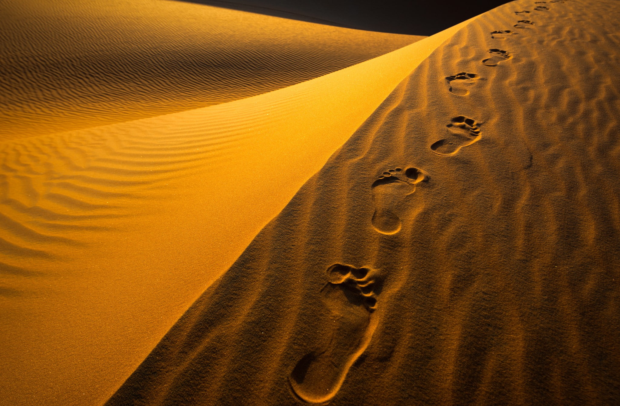 beach, no people, tranquil scene, backgrounds, land, footprint, landscape, environment, orange color, pattern, desert, climate, arid climate, tranquility, HD Wallpaper
