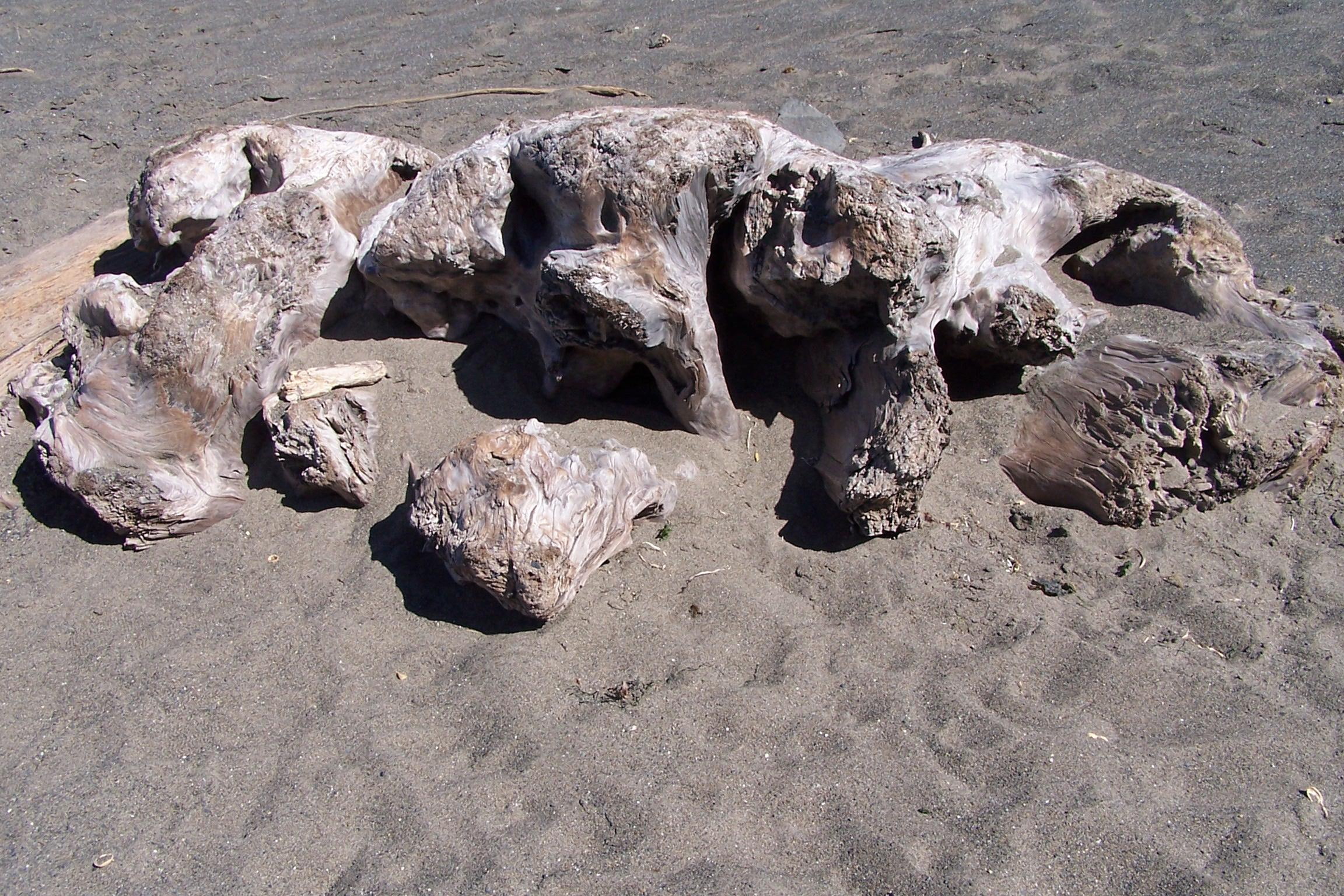 wood, 3d and abstract, 1080P, beach, sand, driftwood, HD Wallpaper